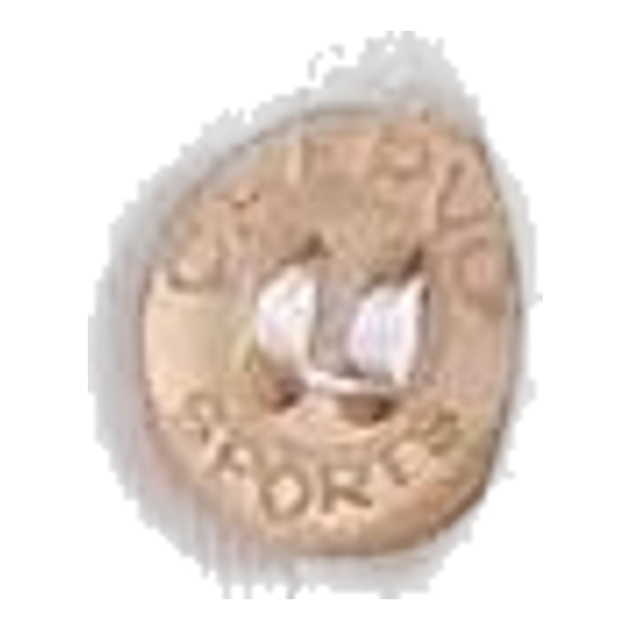 Polo da donna Chervo Apolide