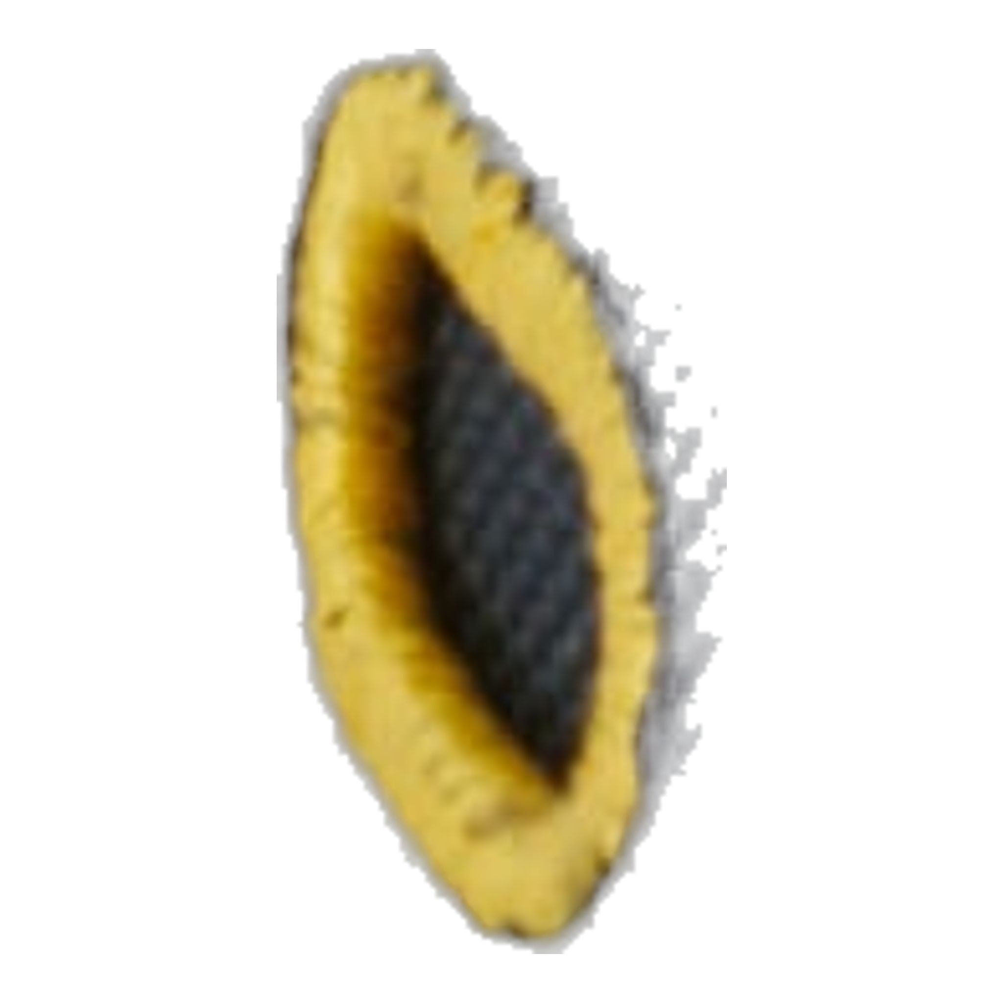 Titleist Players Performance Ball Marker Cap Donna Lavanda Donna