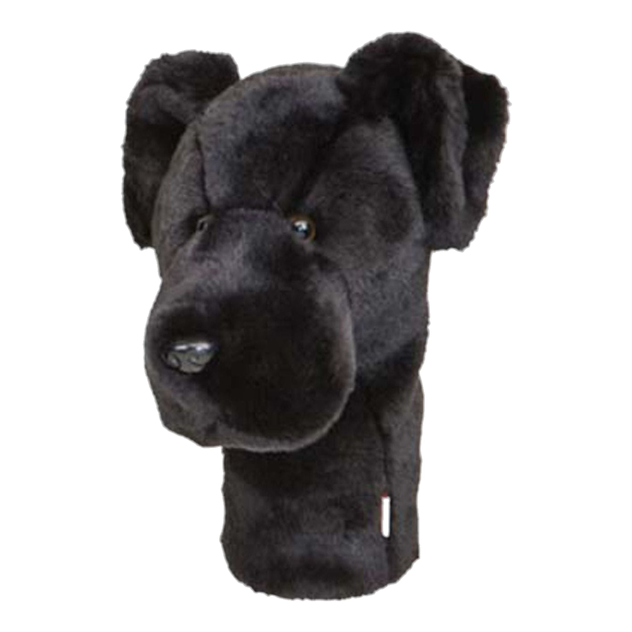 Daphne Driver, Labrador nero