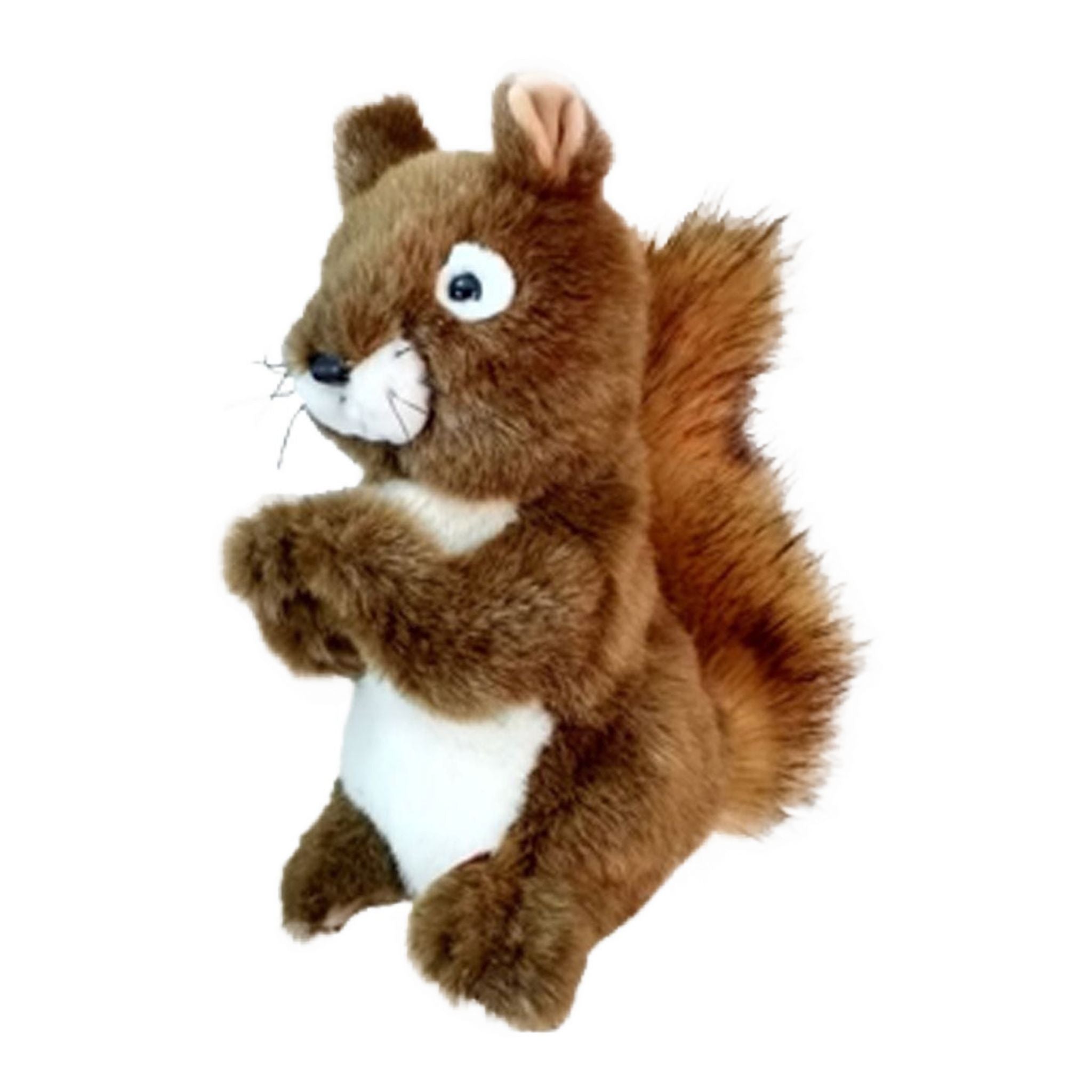 Daphne Driver Scoiattolo