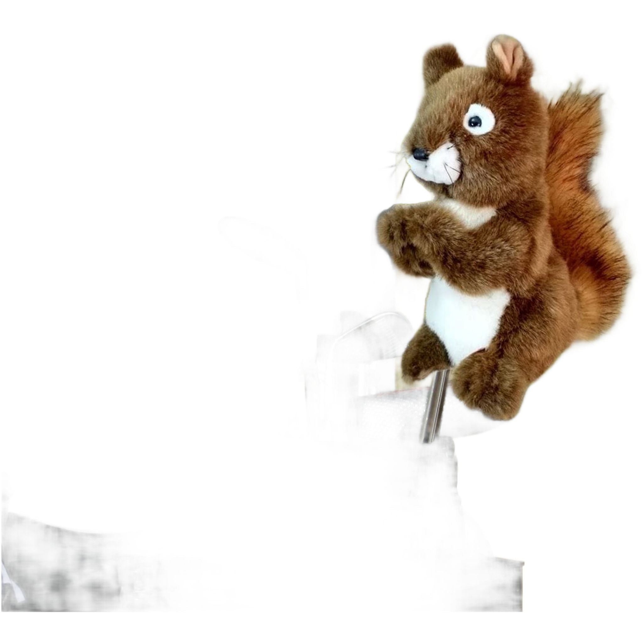 Daphne Driver Scoiattolo