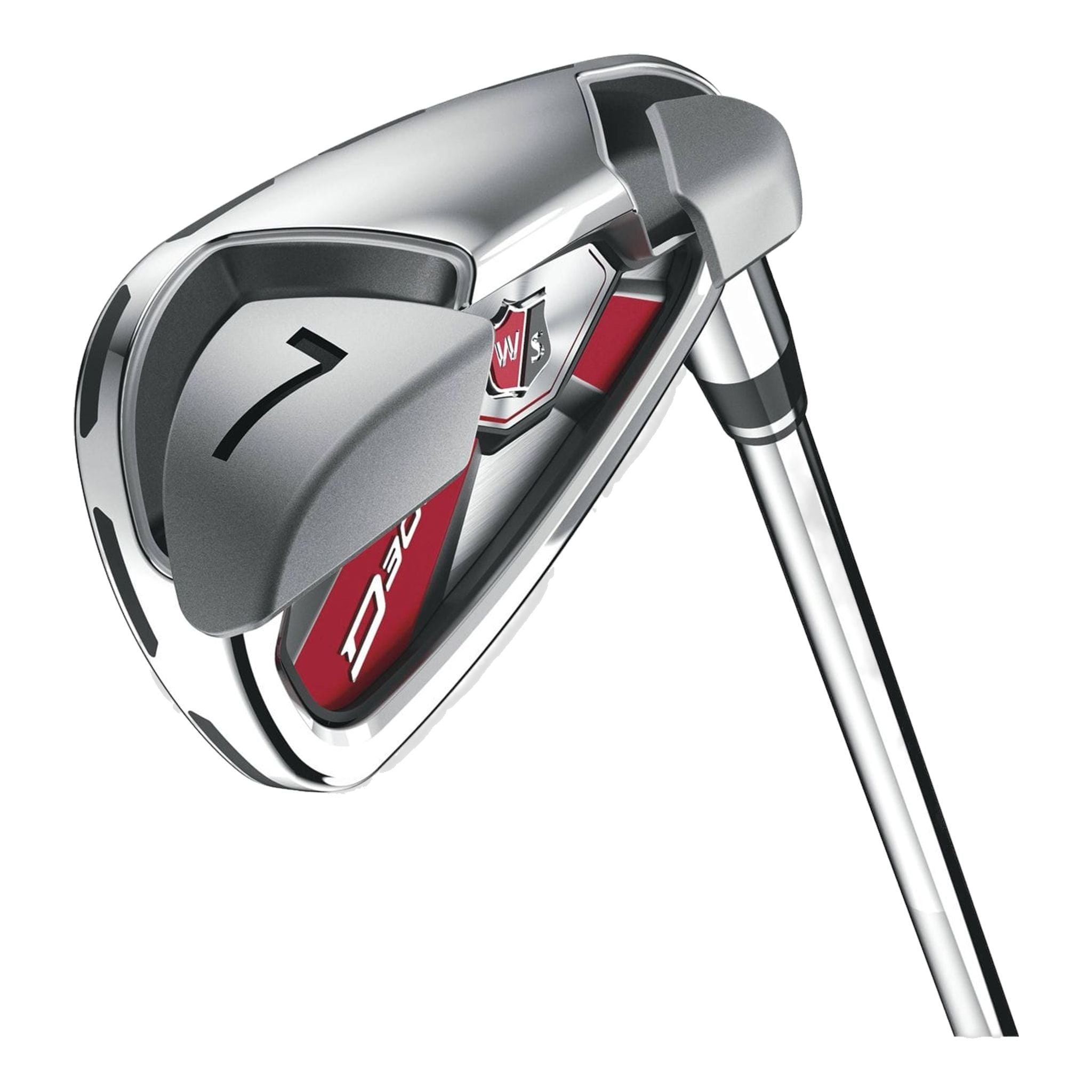 Set ferro da stiro Wilson D300 da uomo