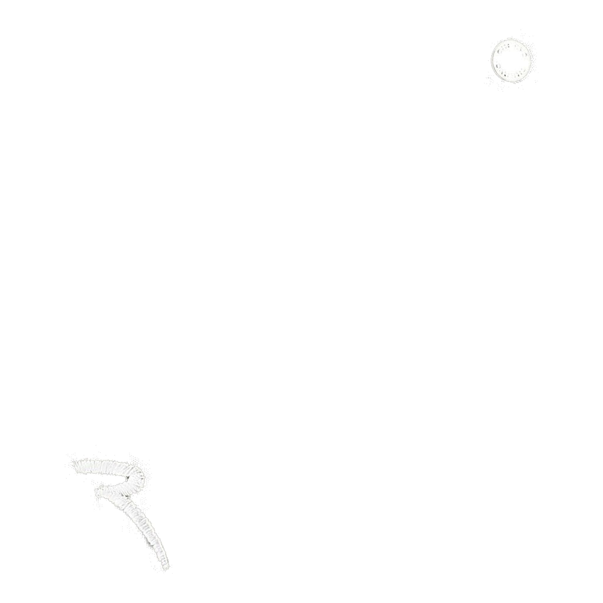 Chervo W Sbiadir Pantaloni Grigio Chiaro Donna