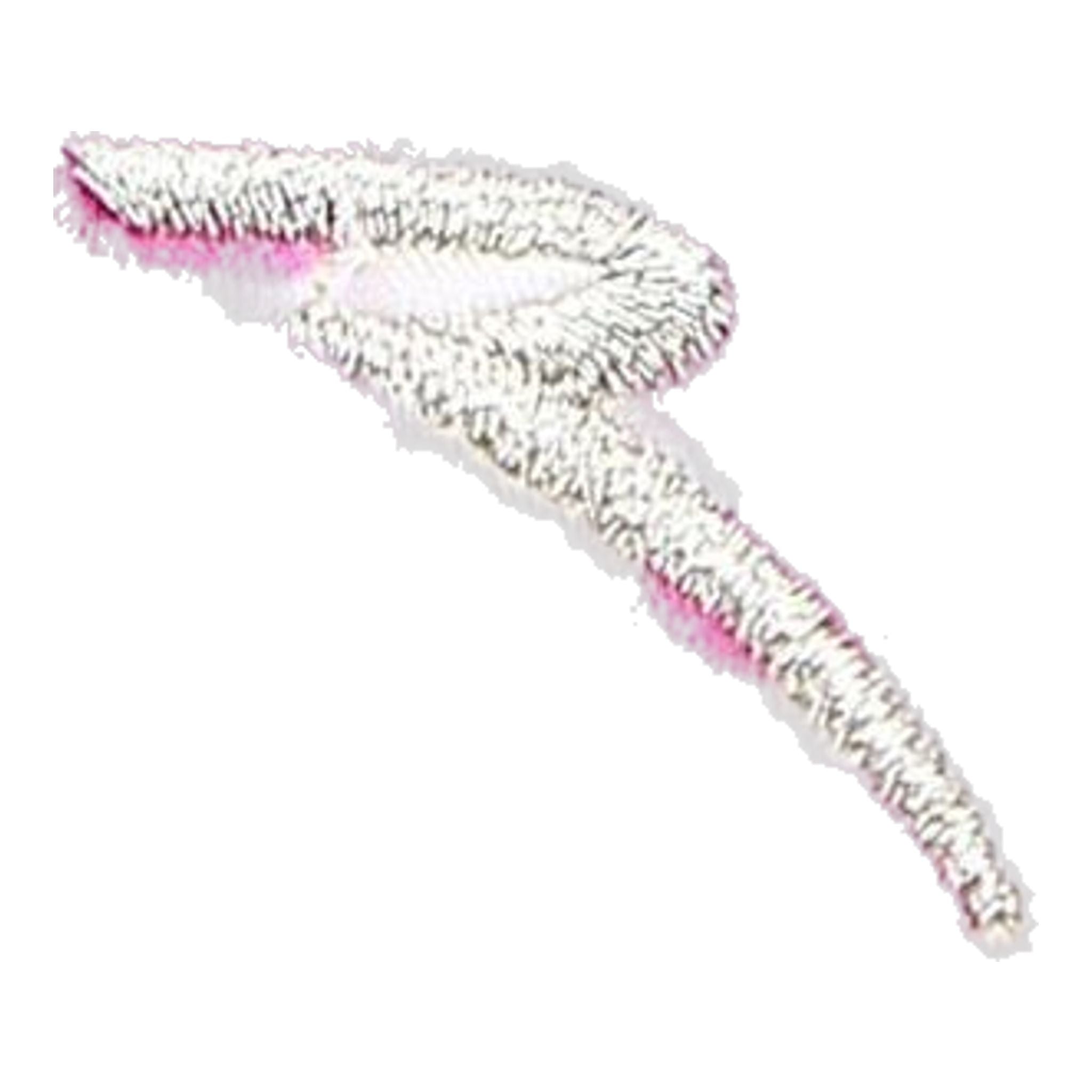 Chervo W Annaoxa SL Polo Rosa a Pois Donna