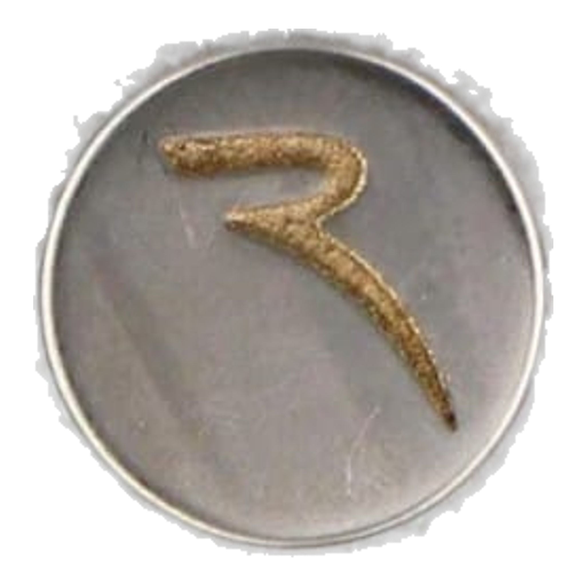 Chervo Xarin Bianco Donna Donna