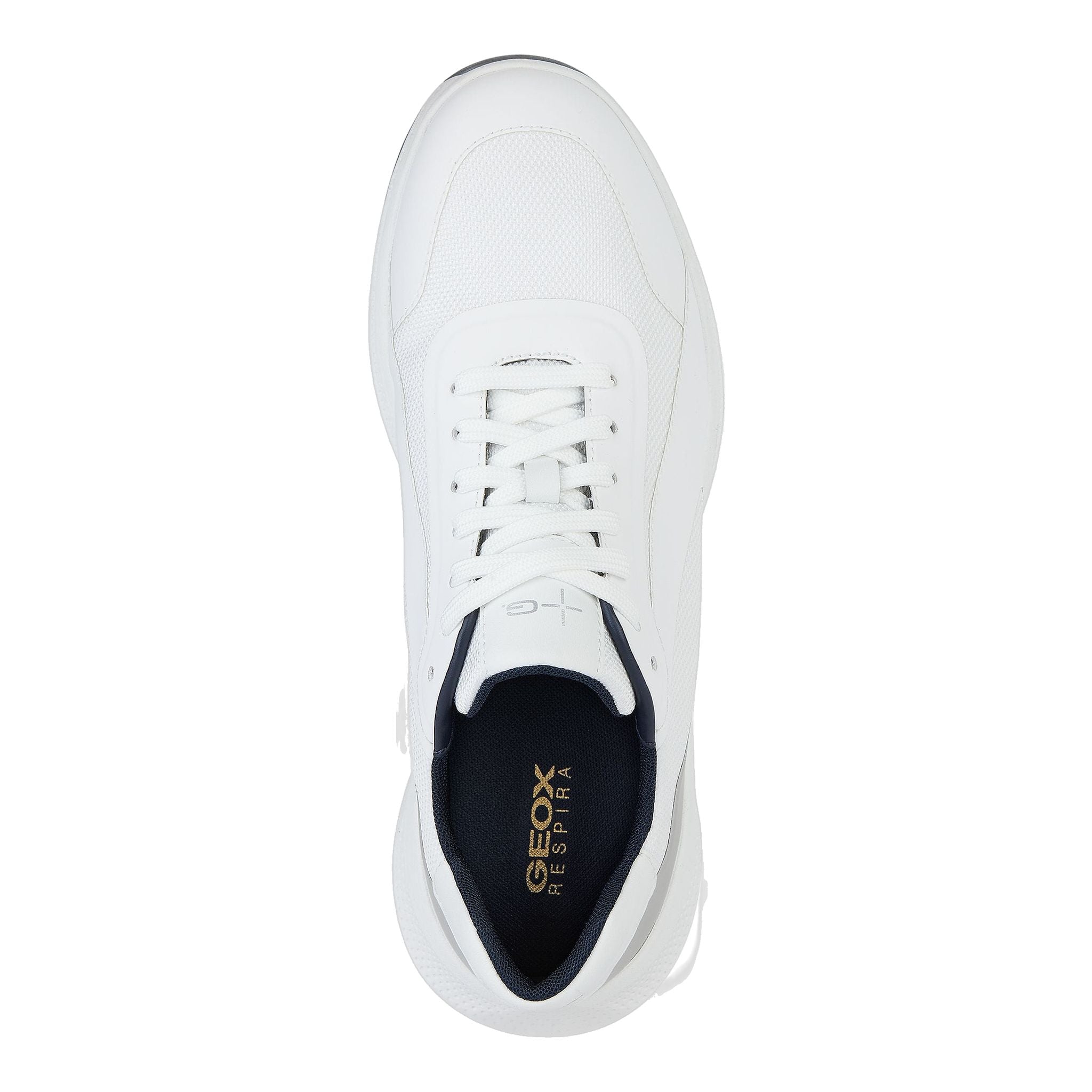 Scarpe da golf da uomo Geox PG1X B
