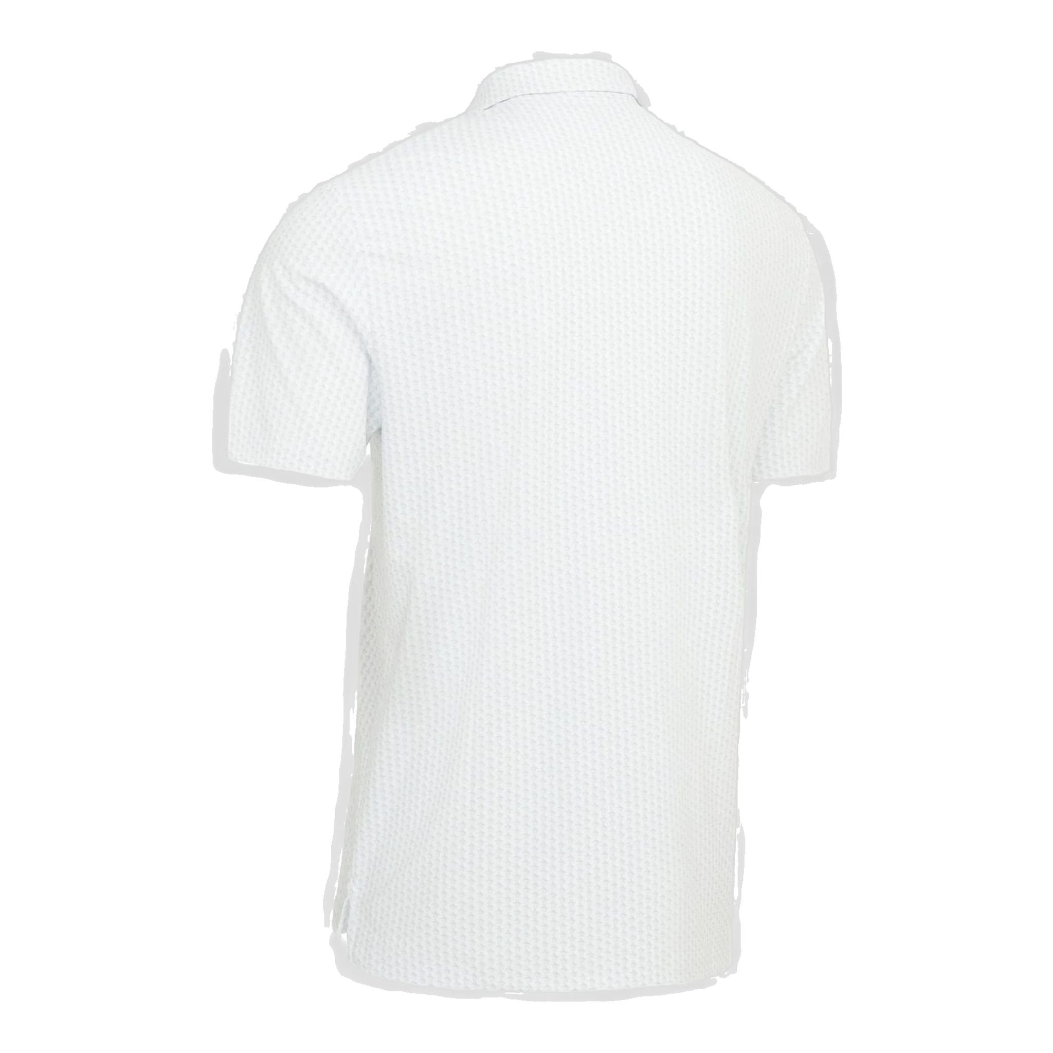 Polo da uomo originale con stampa Penguin The All-Over Pete