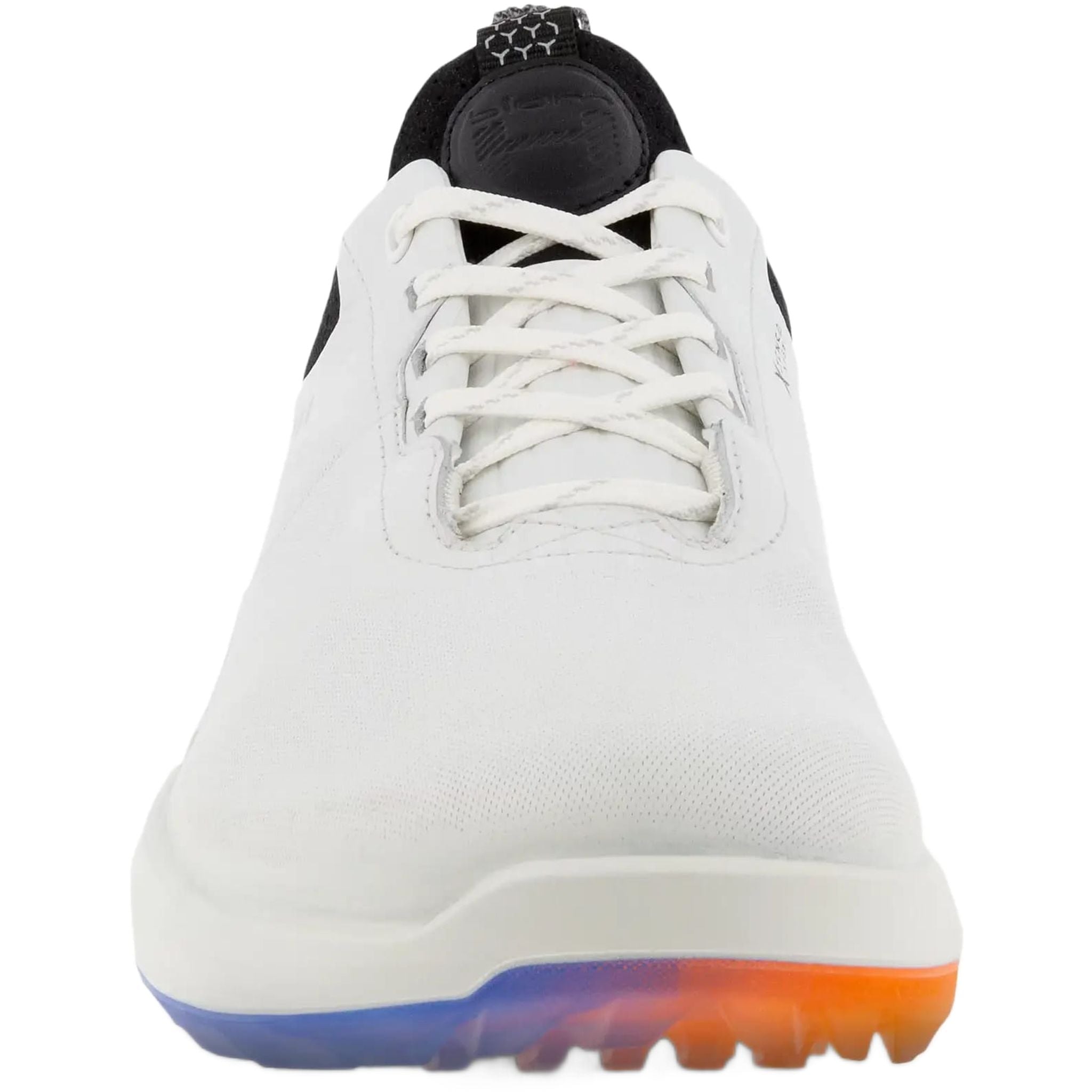 Scarpe da golf da uomo Ecco Biom H4