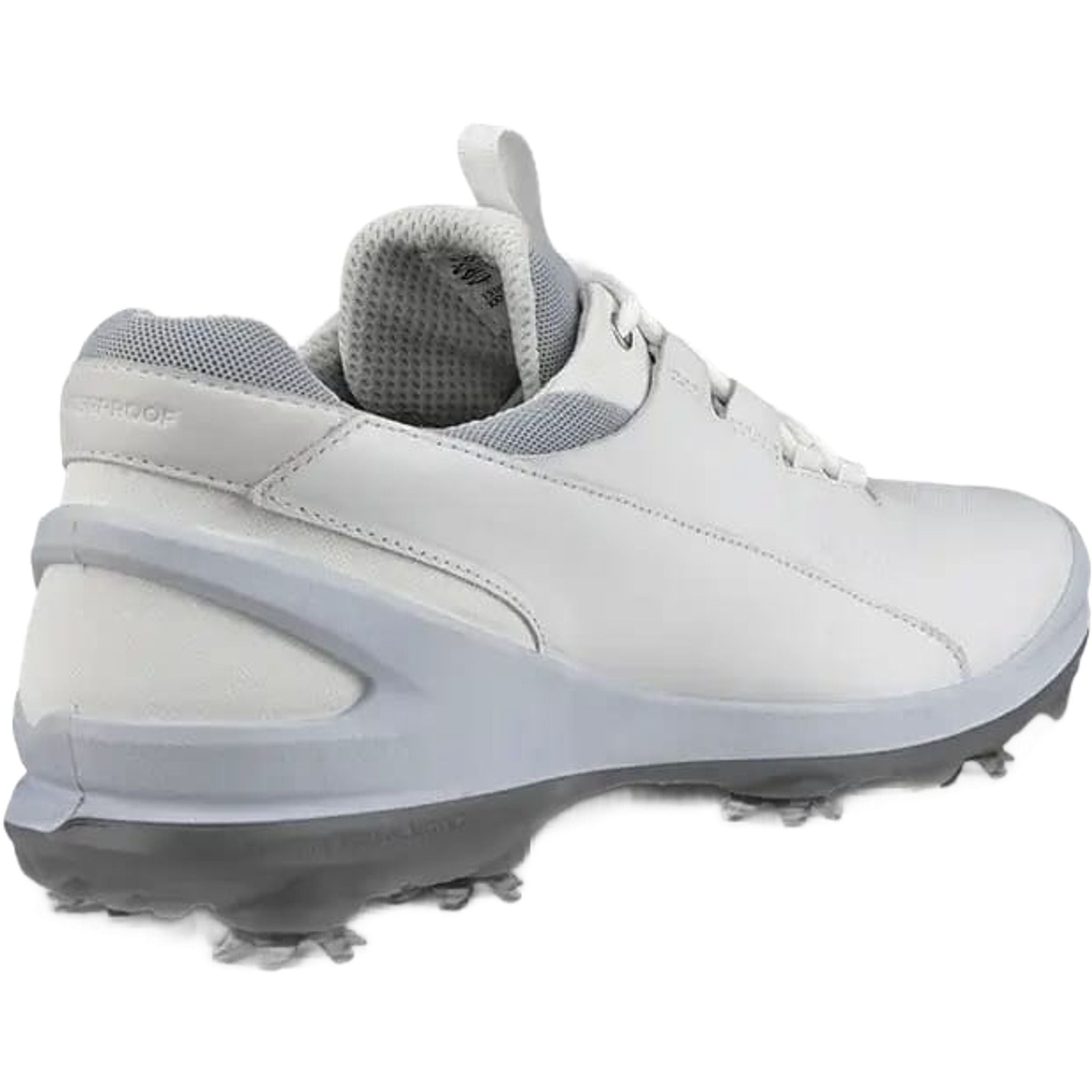 Ecco Biom Tour scarpe da golf da uomo