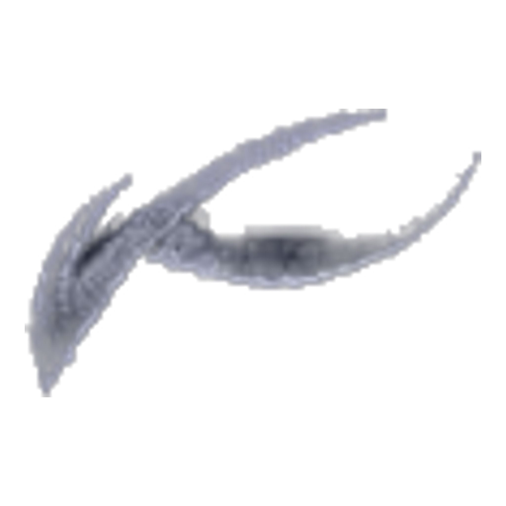 Kjus Ike Pantaloncini Cardinale Uomo