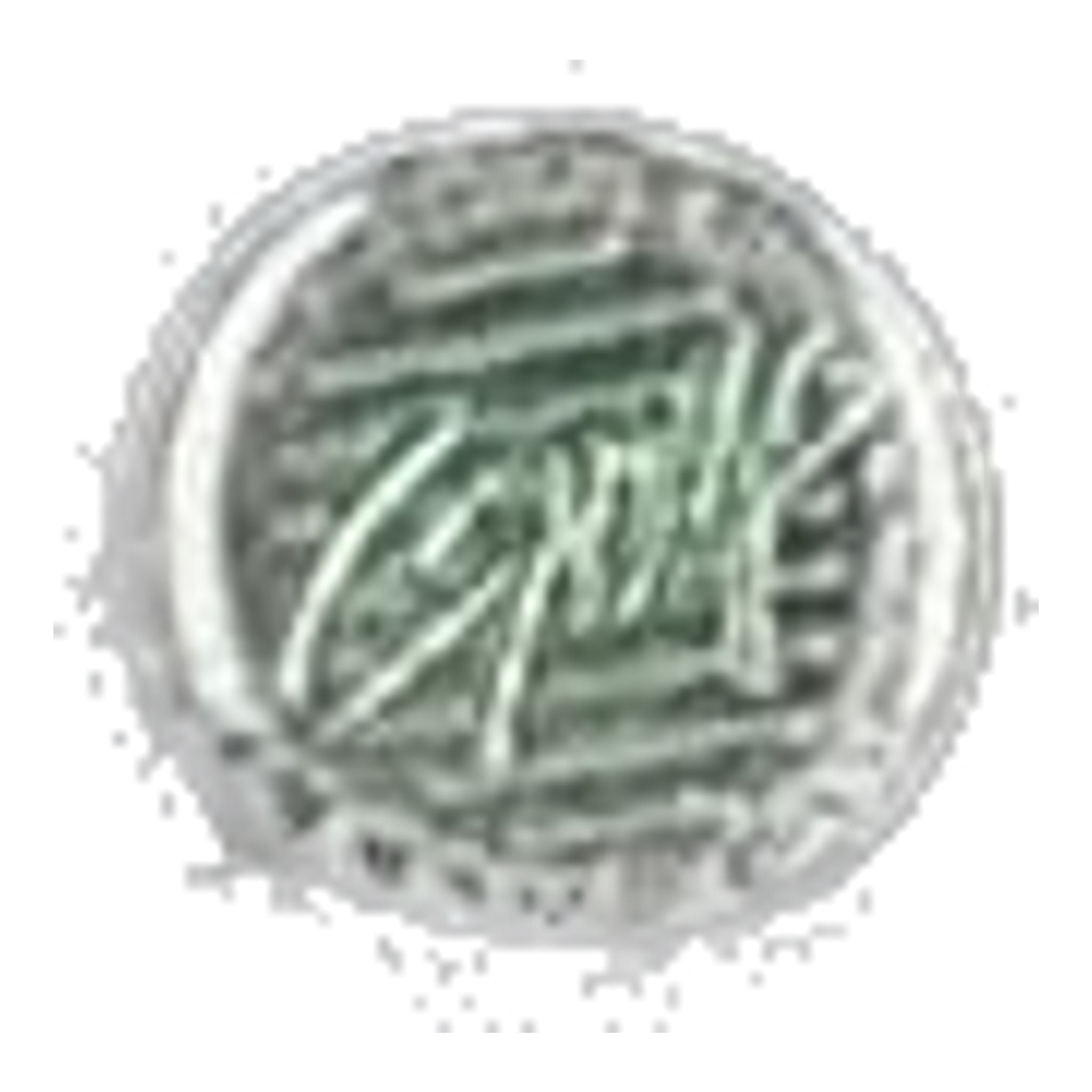 Pantaloni da golf da uomo Alberto ROOKIE Smart Check