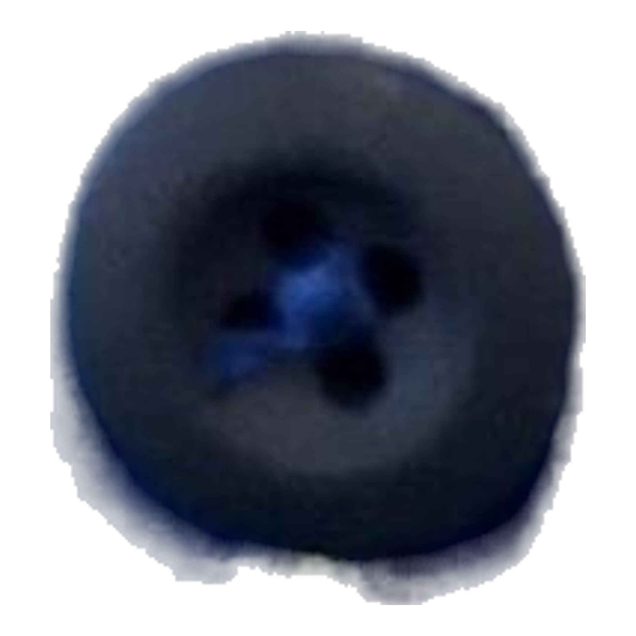 Alberto Rookie Rev. Controlla Waterrep. Pantaloni da golf da uomo