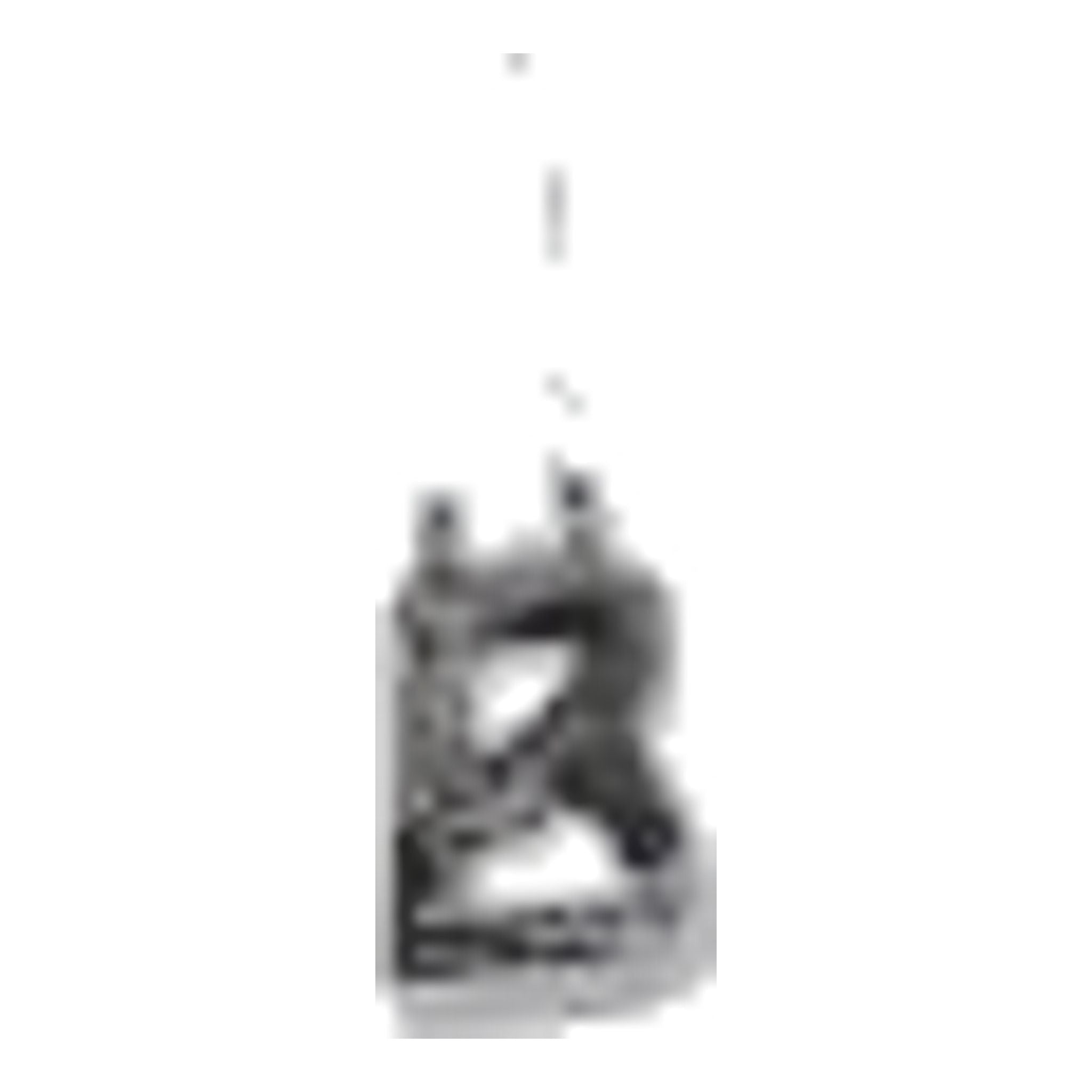 T-shirt/Polo Bogner Evi Donna