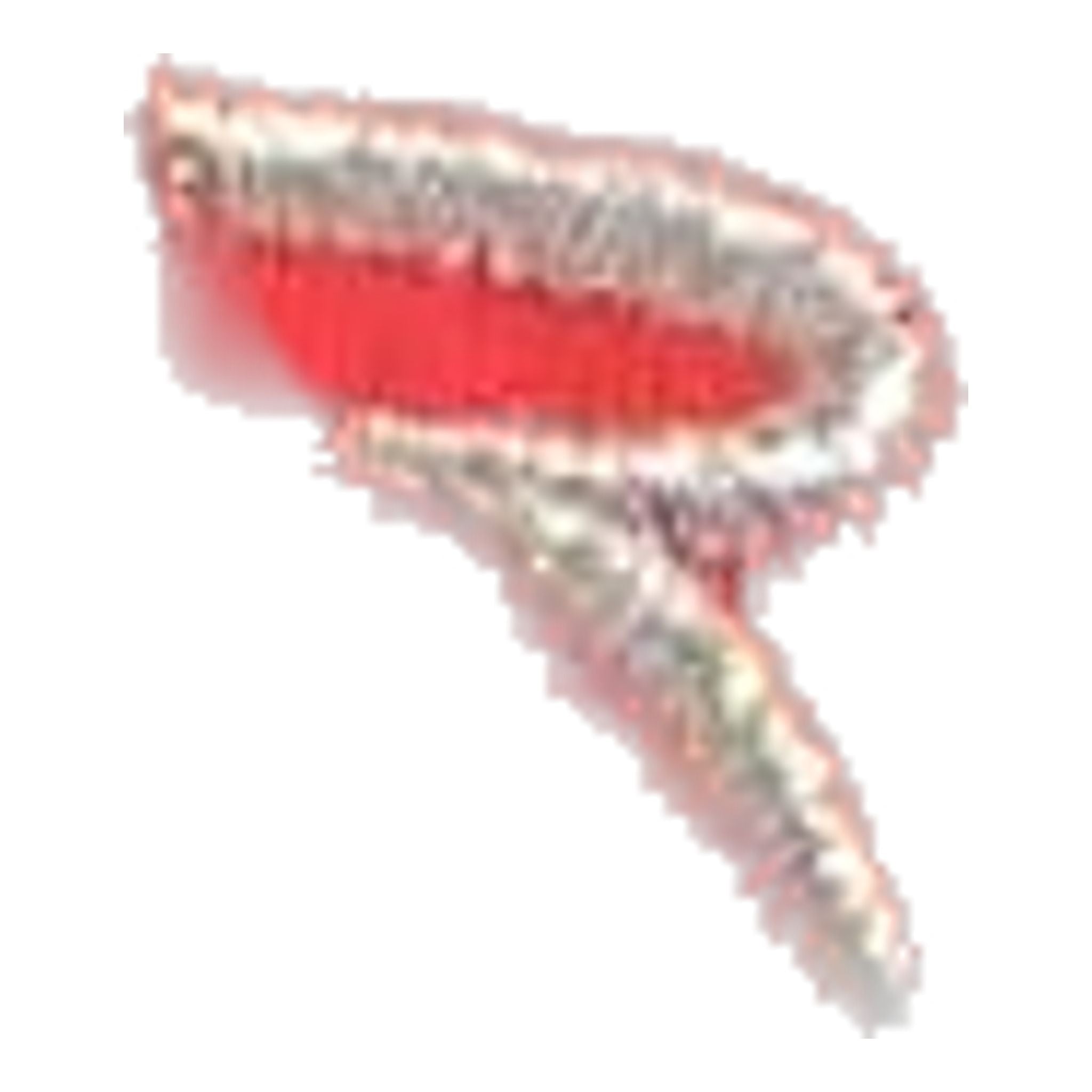 Pantaloni da golf da donna Chervo Saona