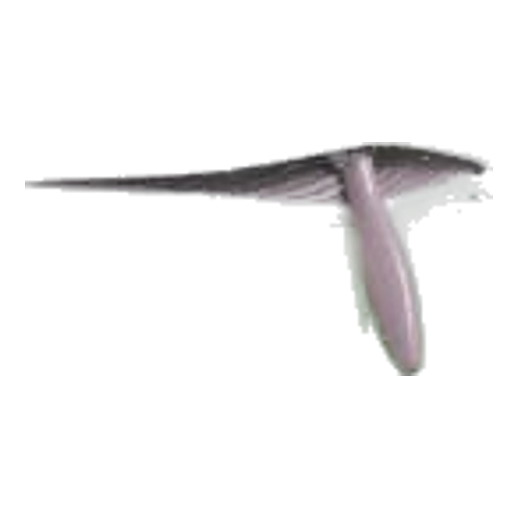 Gonna stampata Adidas da donna