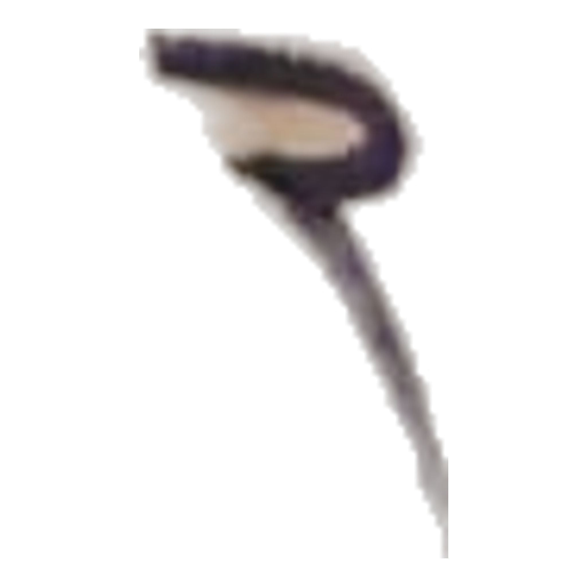 Pantaloni da golf Chervo Scotch da uomo