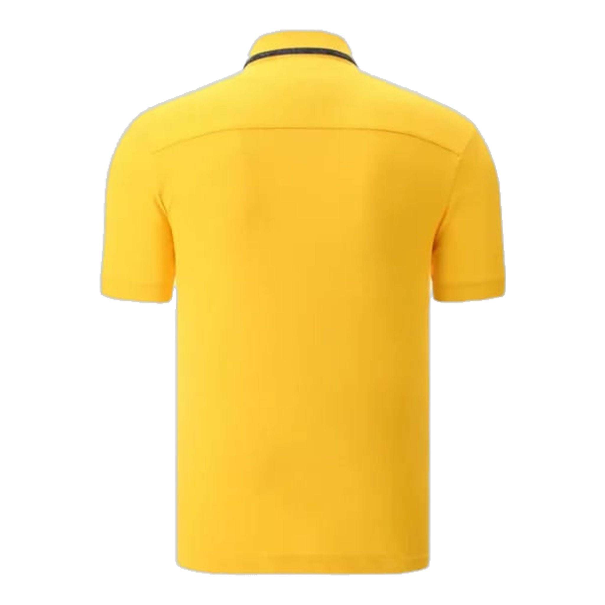 Polo da golf da uomo Chervo Abbaco