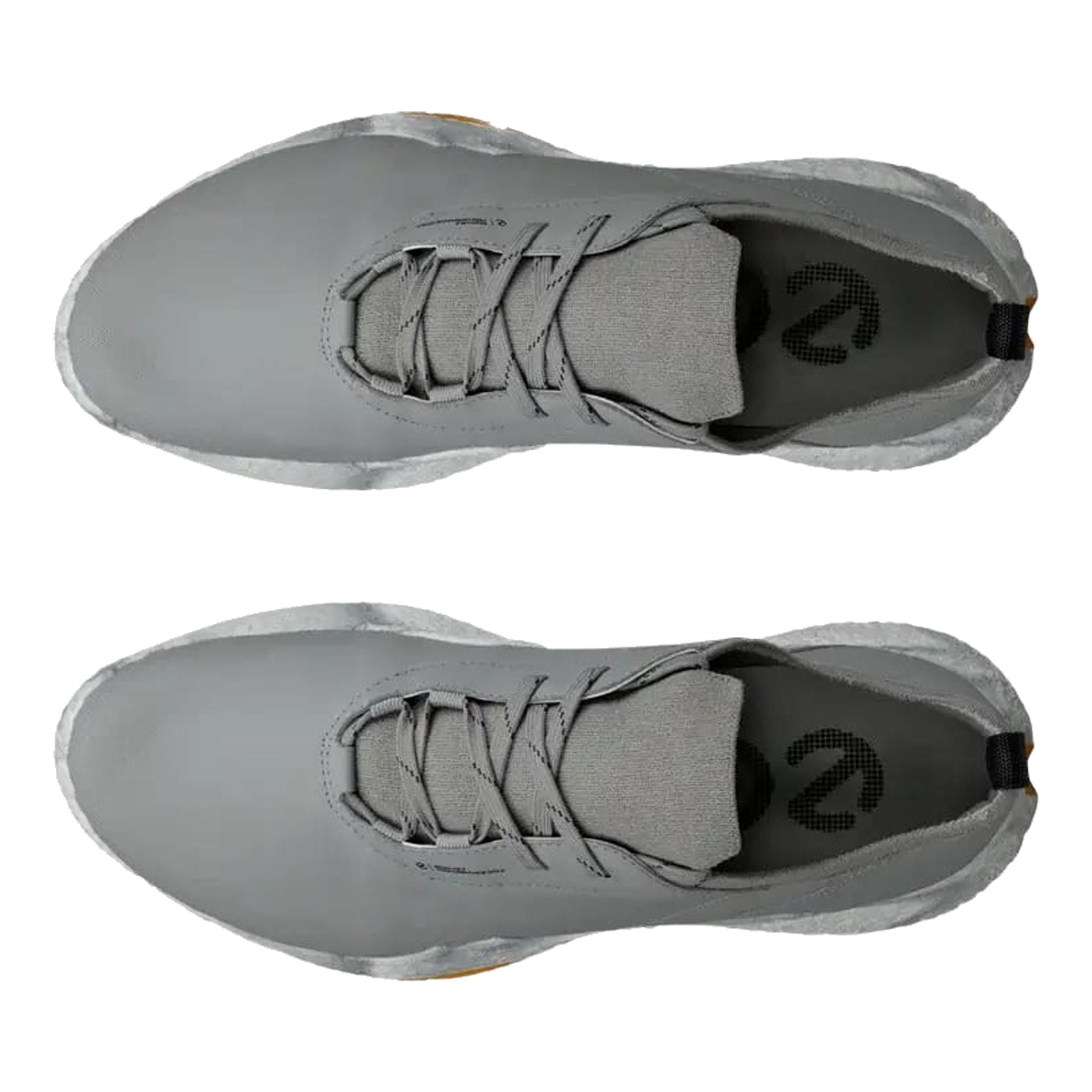 Scarpe da golf Ecco Biom H5 da uomo