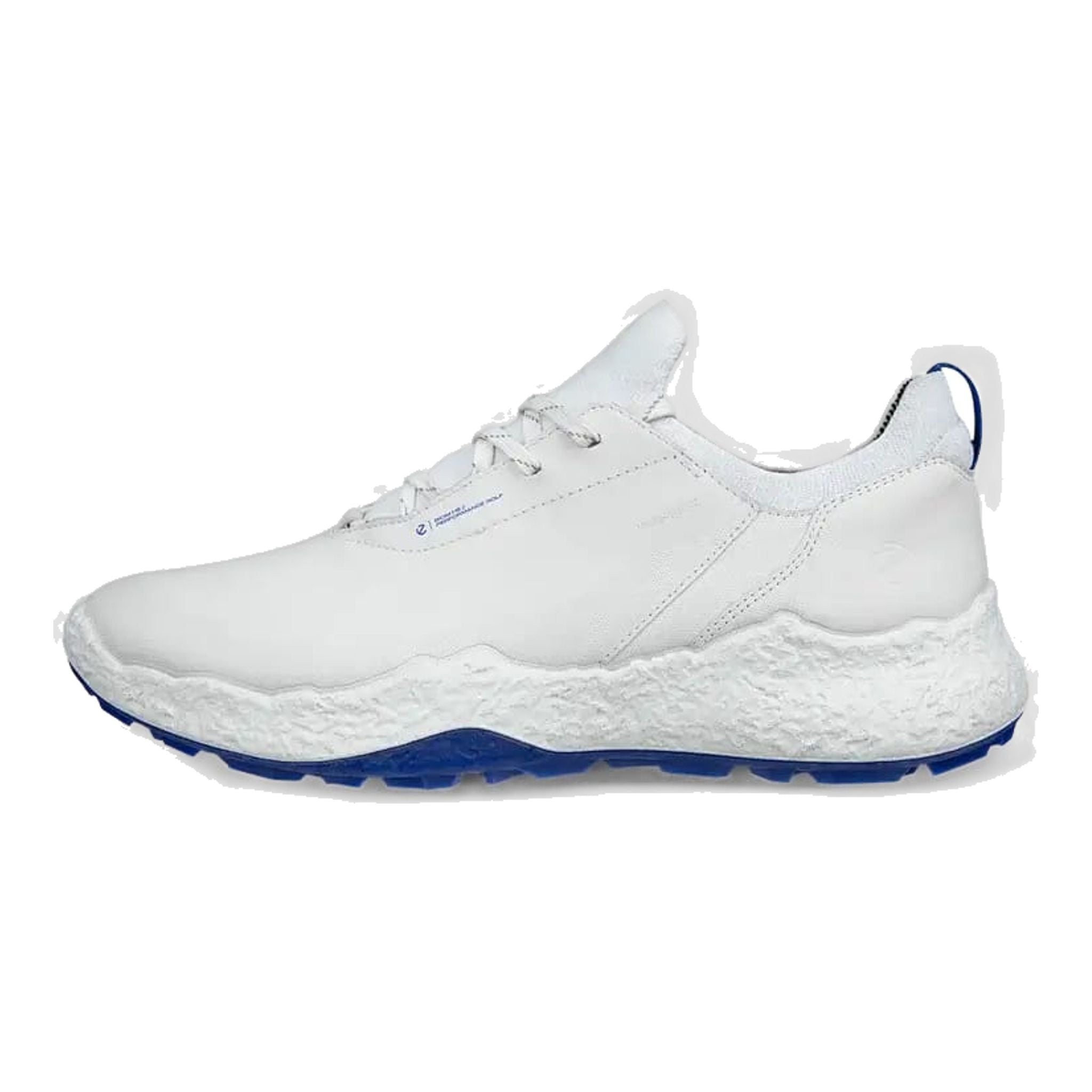 Scarpe da golf Ecco Biom H5 da uomo