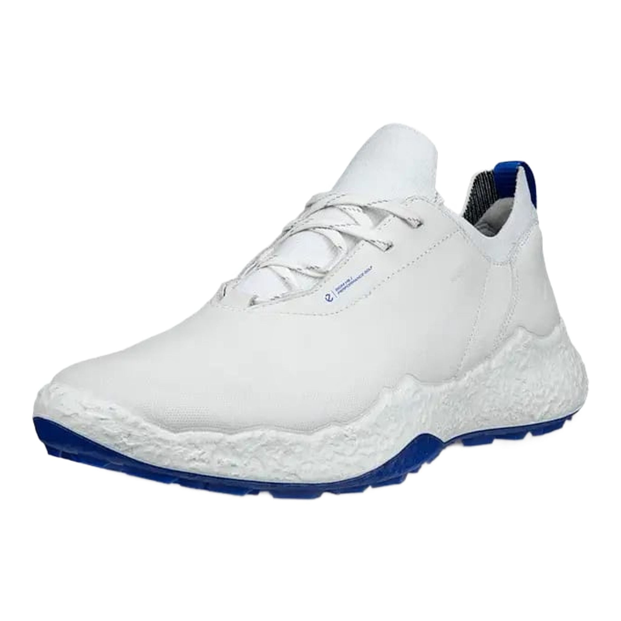 Scarpe da golf Ecco Biom H5 da uomo