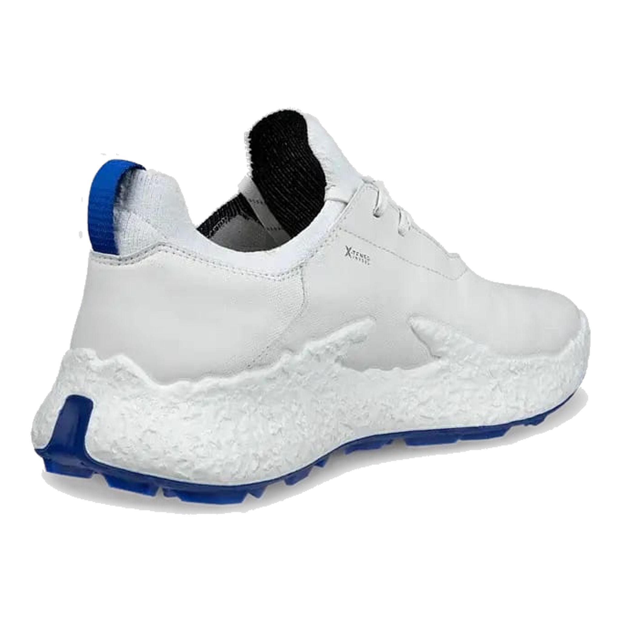 Scarpe da golf Ecco Biom H5 da uomo