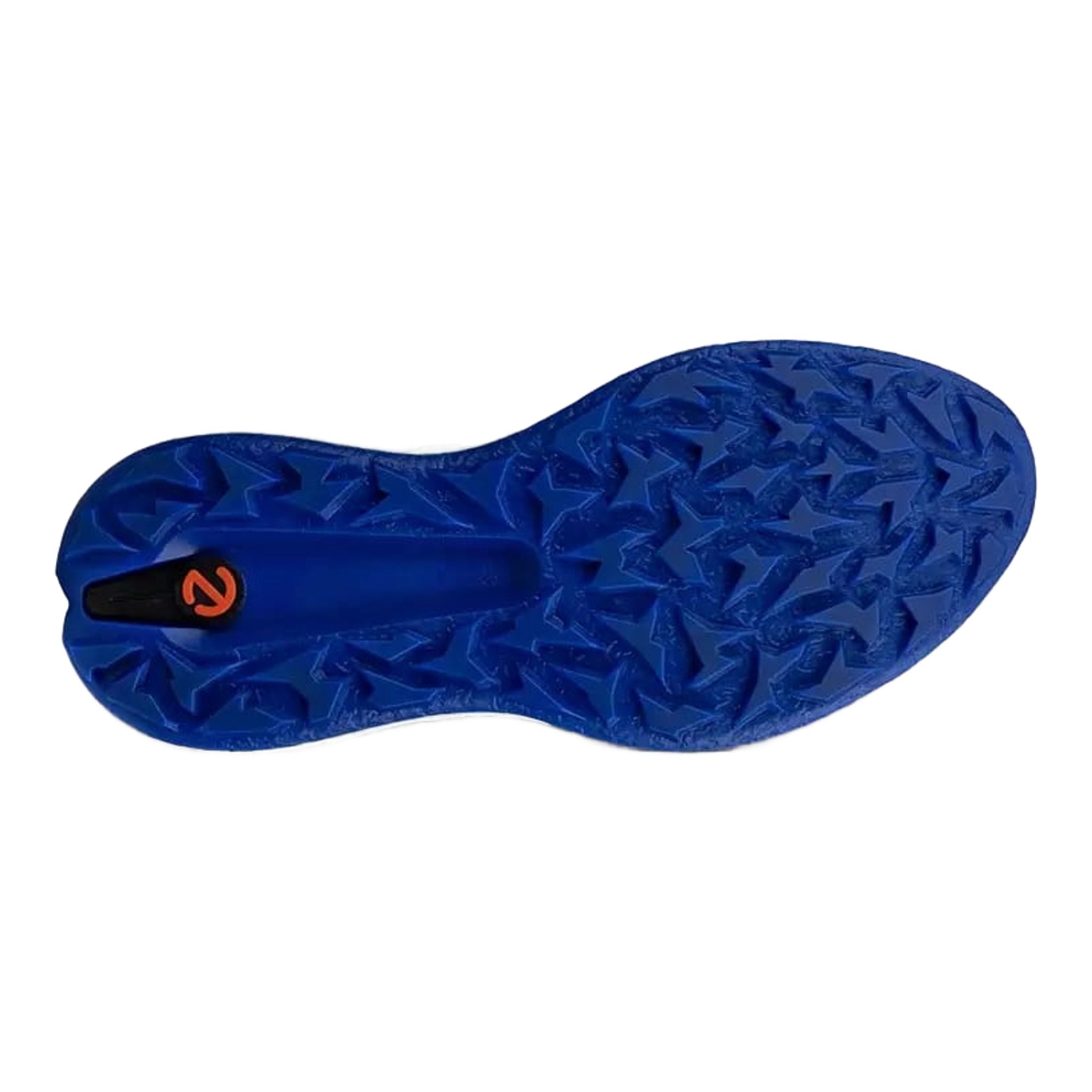 Scarpe da golf Ecco Biom H5 da uomo