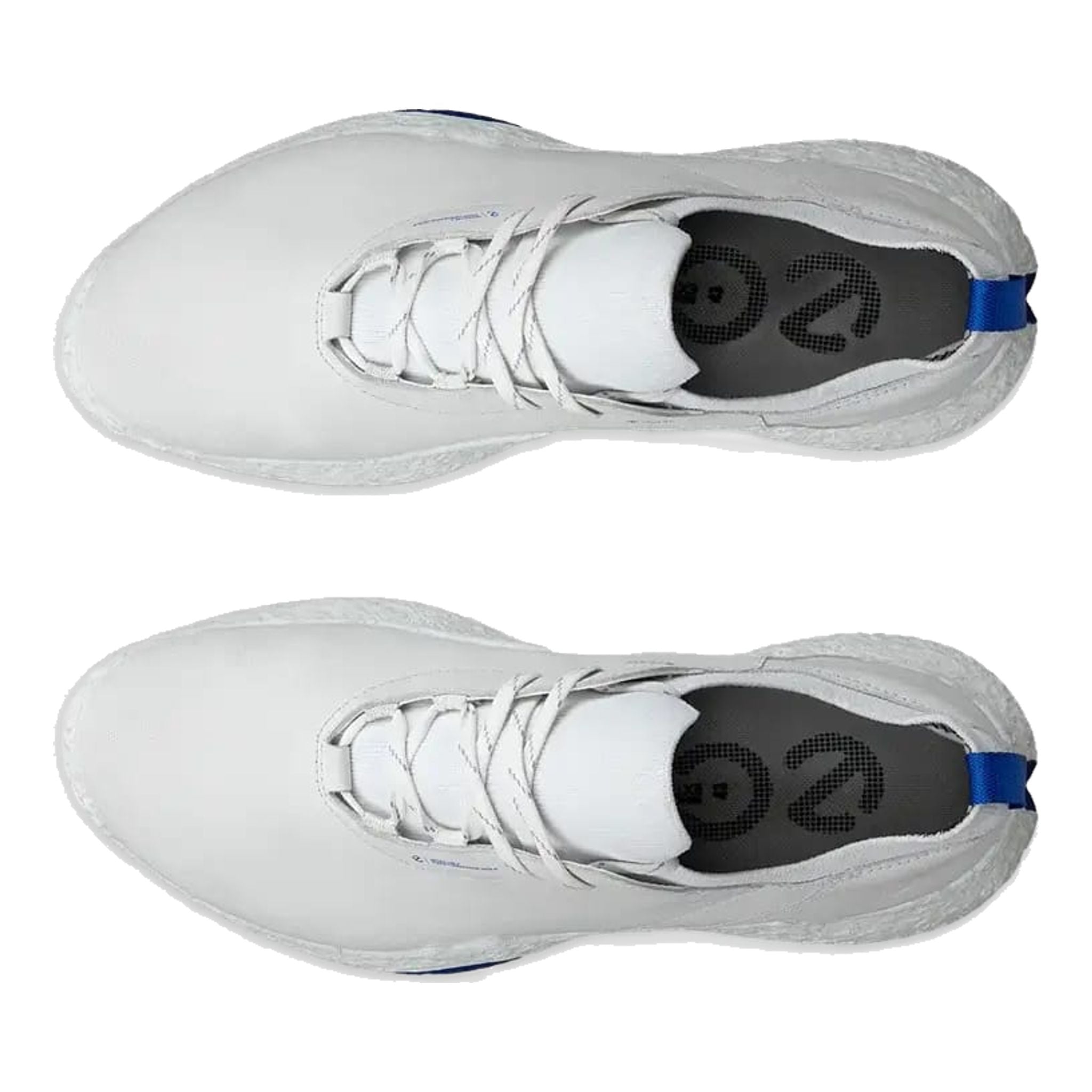 Scarpe da golf Ecco Biom H5 da uomo