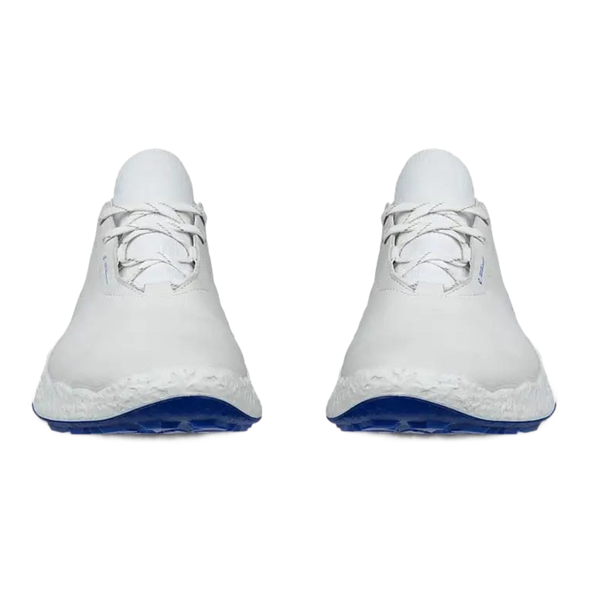 Scarpe da golf Ecco Biom H5 da uomo