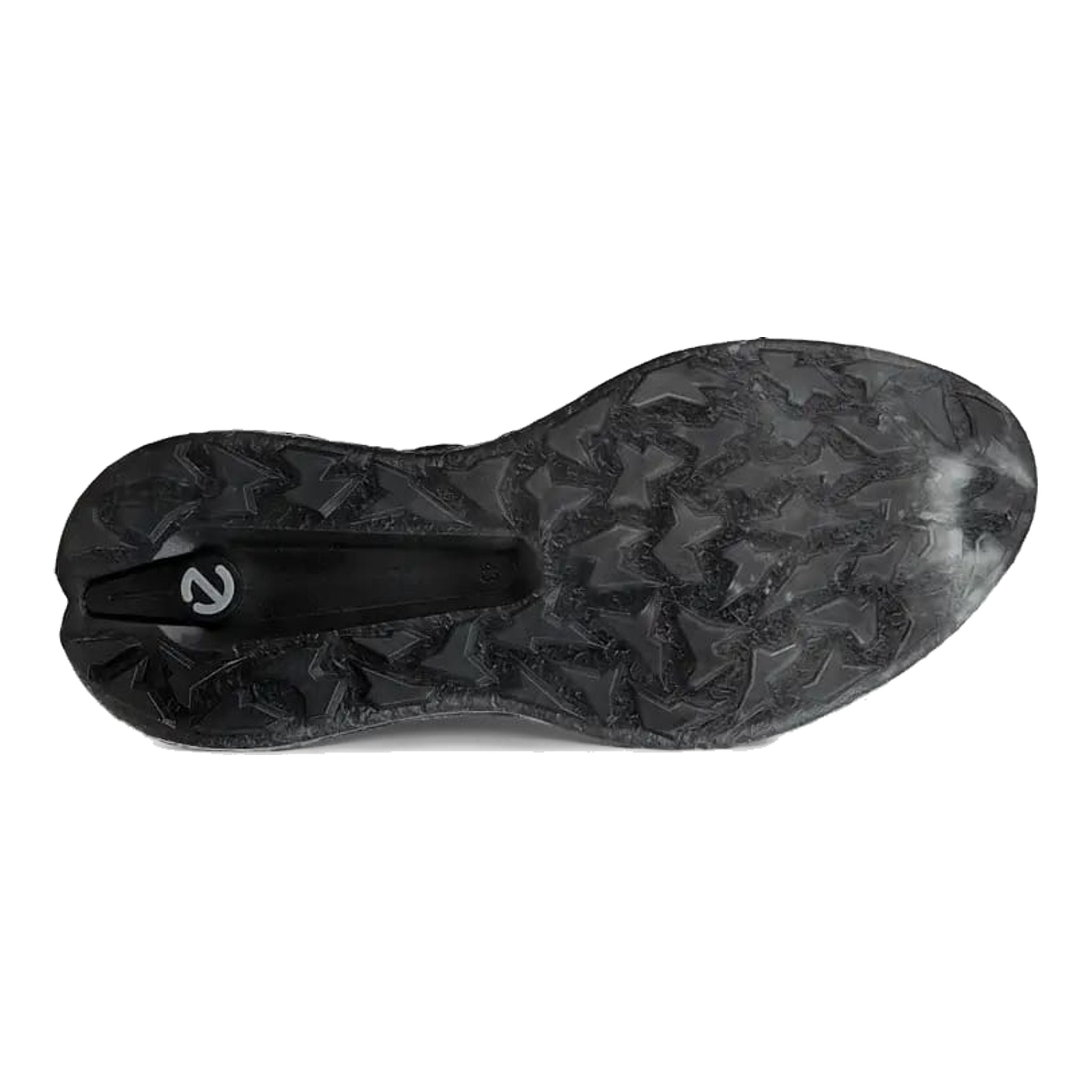 Scarpe da golf Ecco Biom H5 da uomo