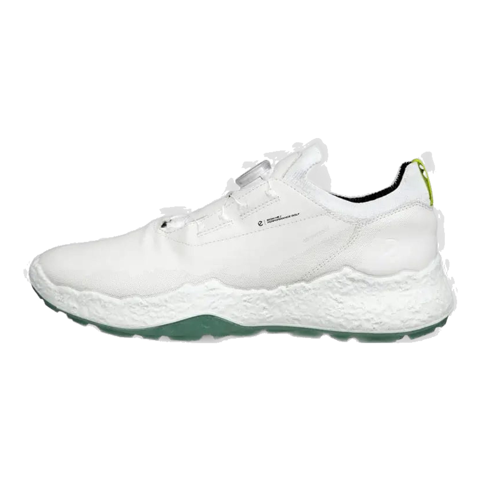 Scarpe da golf Ecco Biom H5 da uomo