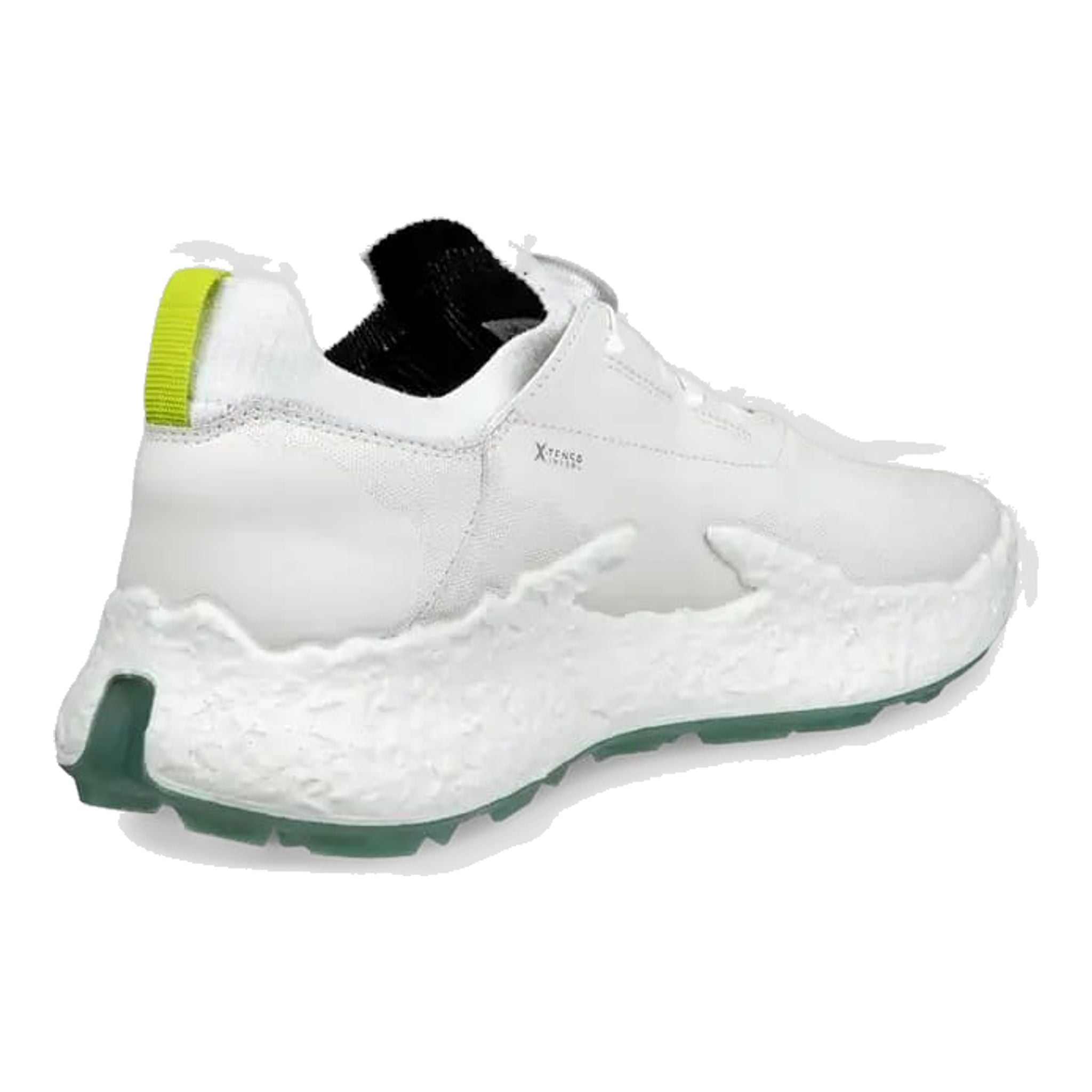 Scarpe da golf Ecco Biom H5 da uomo
