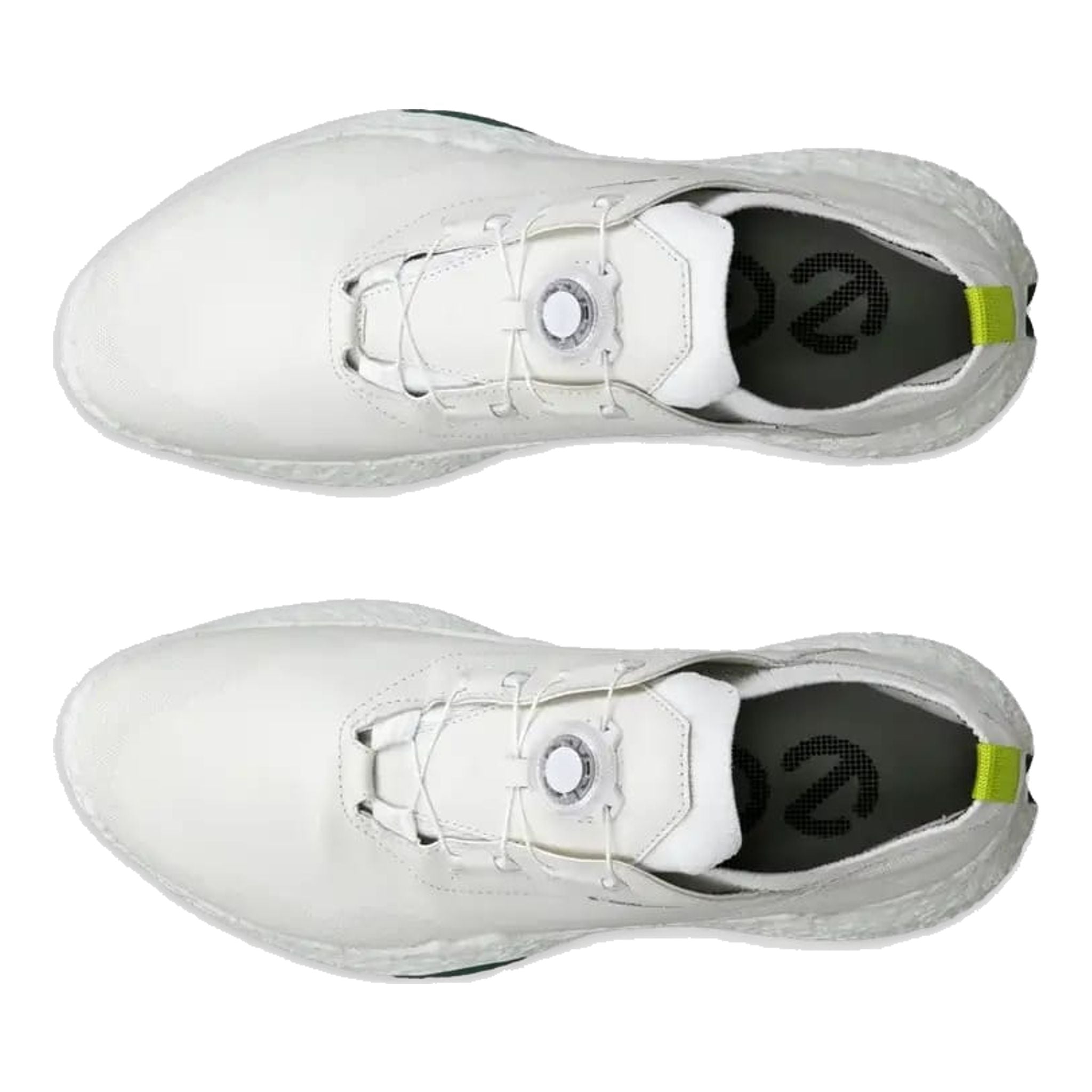 Scarpe da golf Ecco Biom H5 da uomo