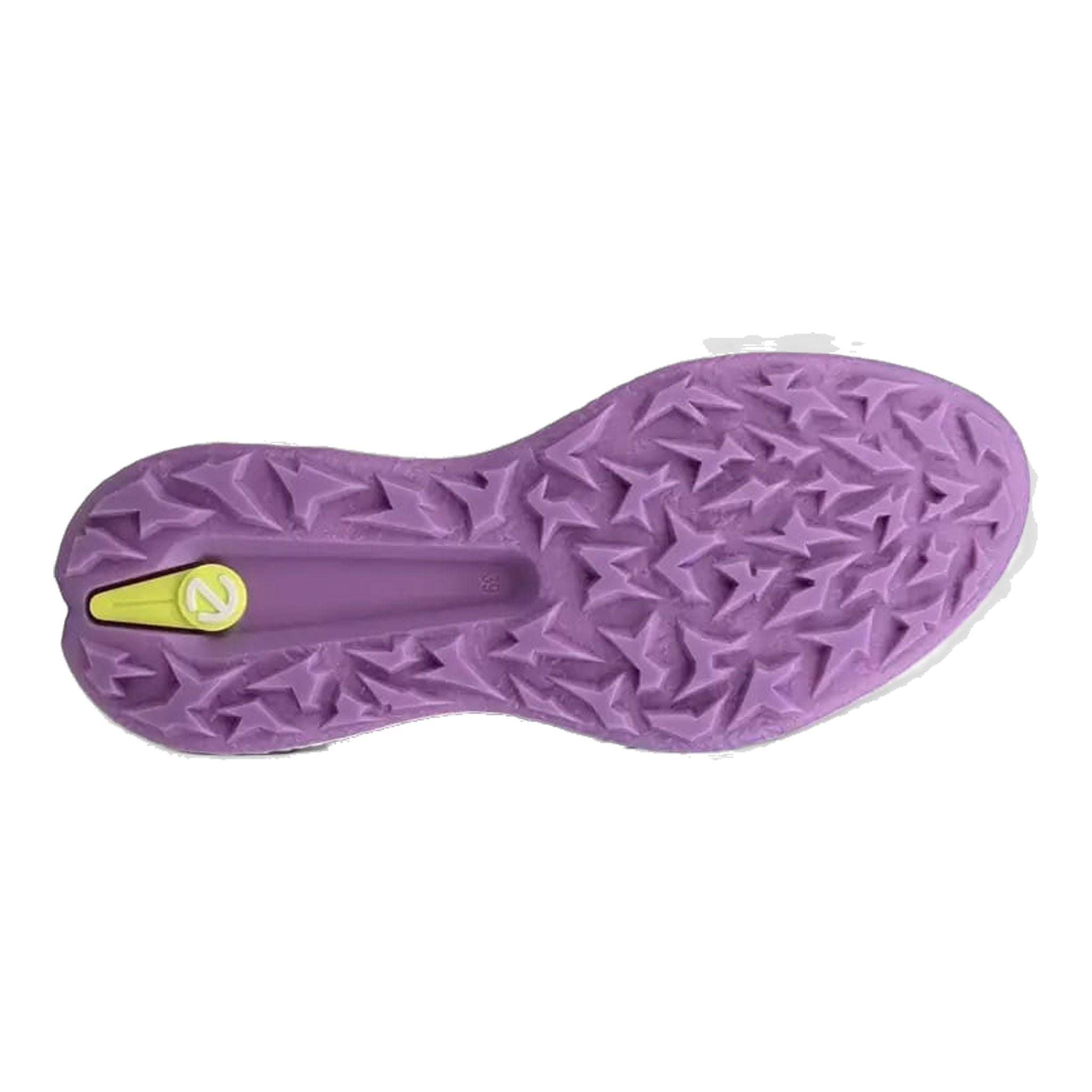 Ecco Golf Biom H5 Scarpe da donna