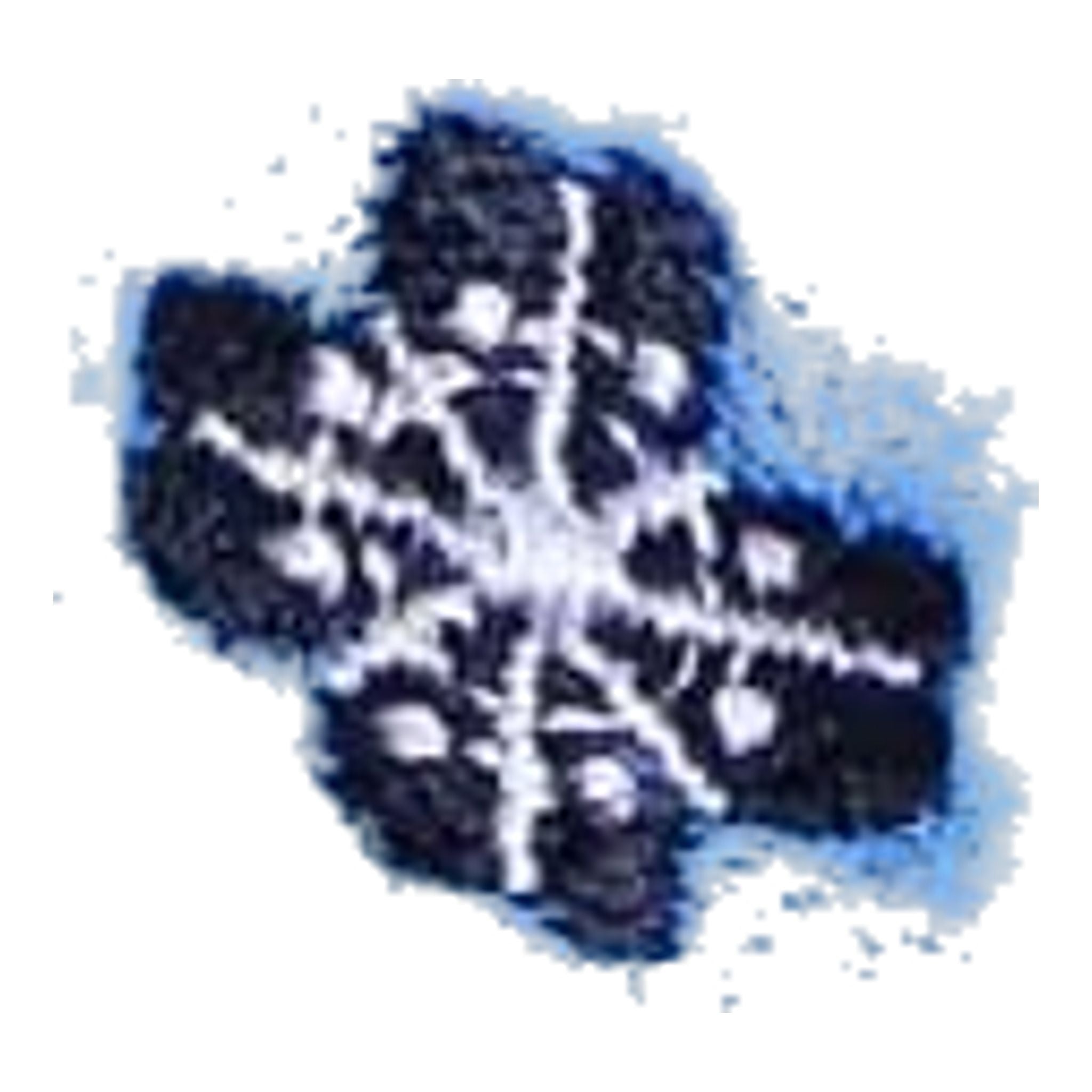 Chervo Viviana Dress Donna