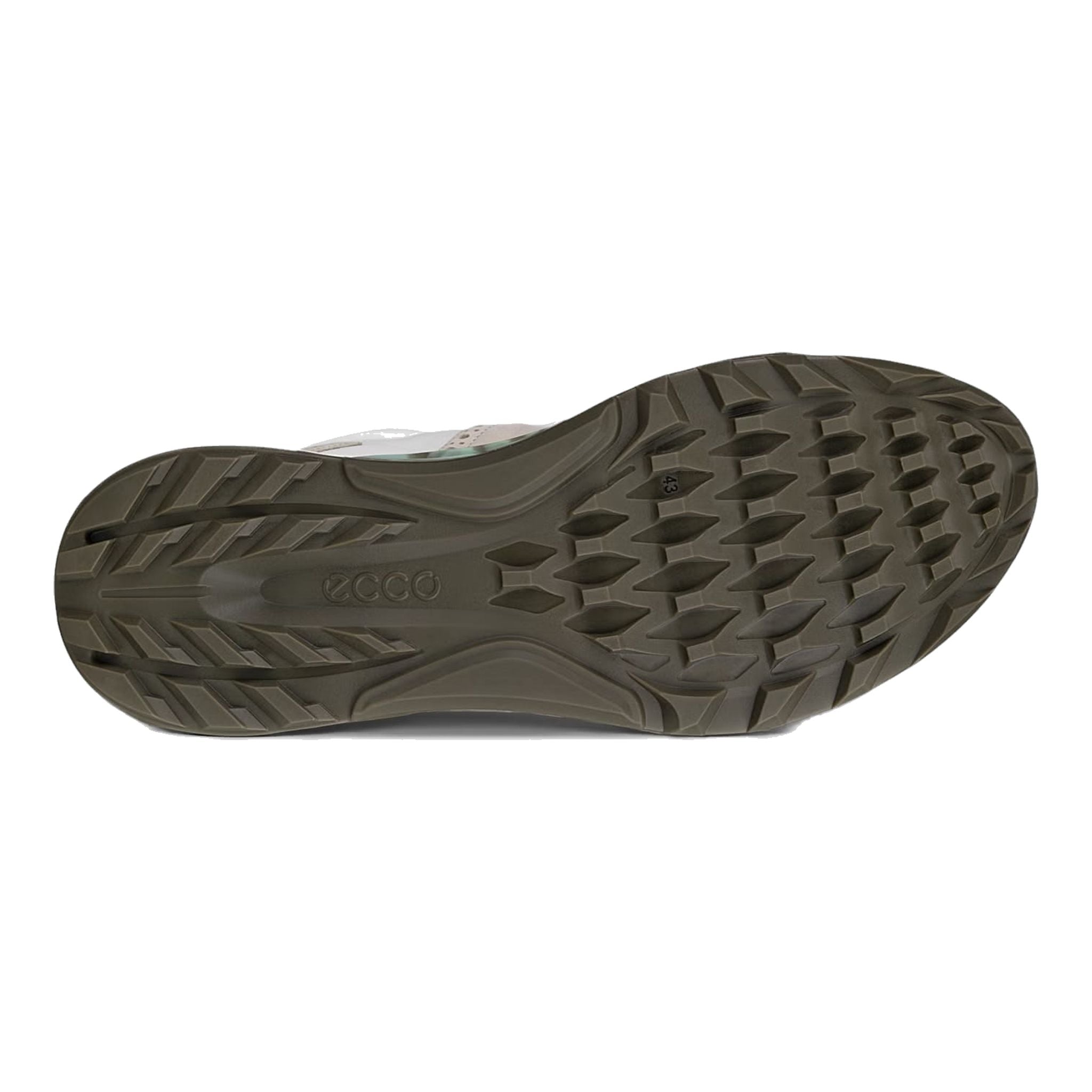 Scarpe da golf da uomo Ecco Biom C4