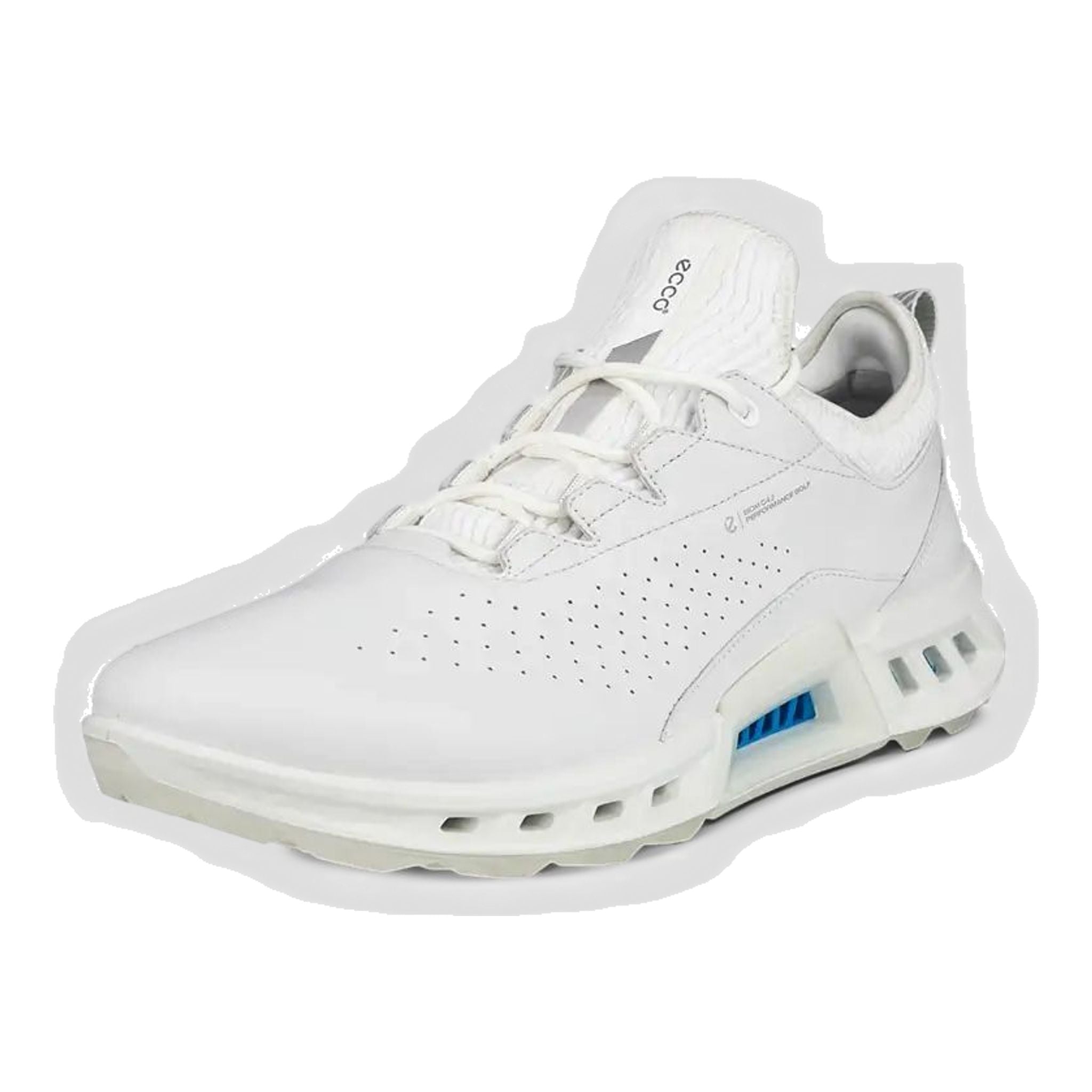 Scarpe da golf da uomo Ecco Biom C4