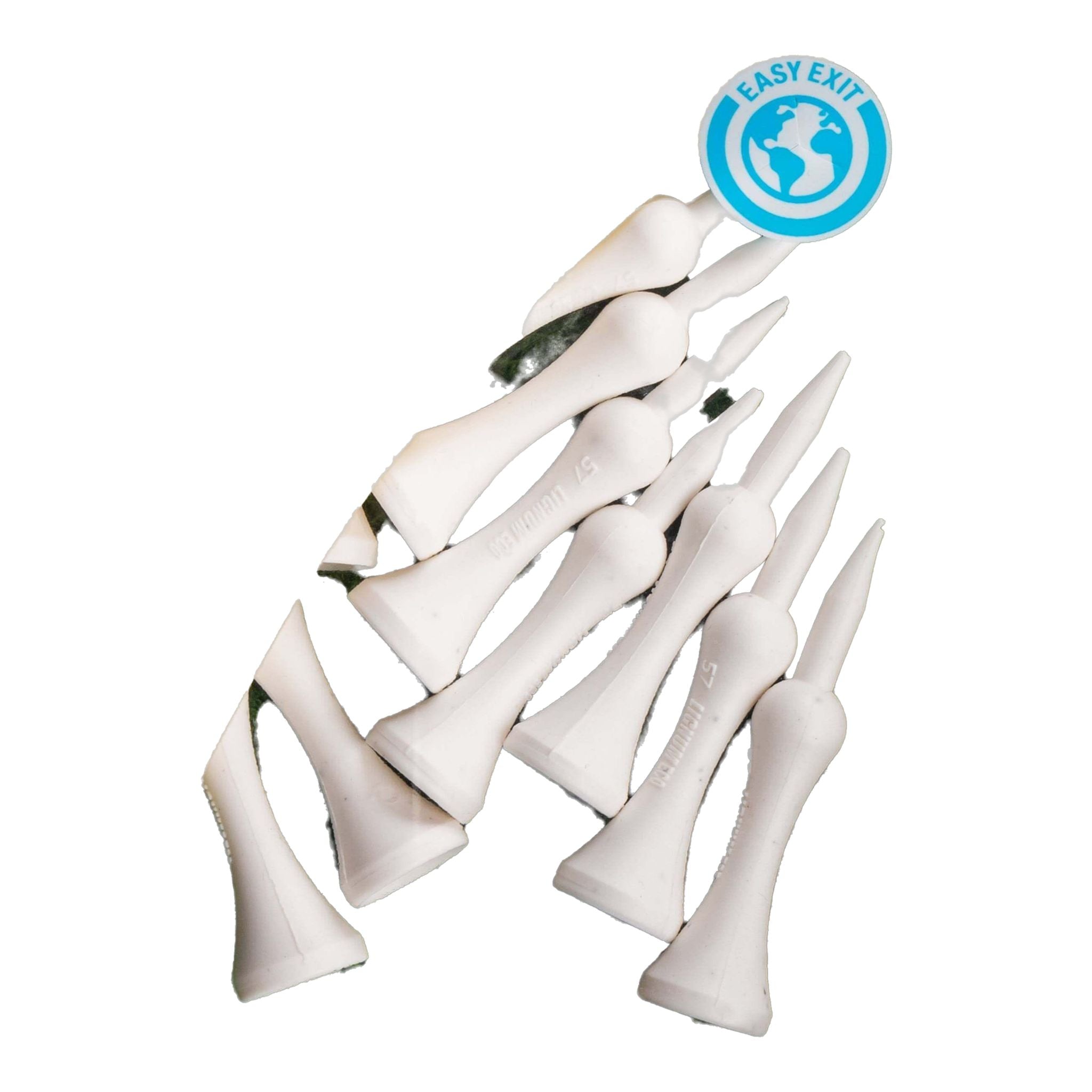 Tè Lignum Next Step