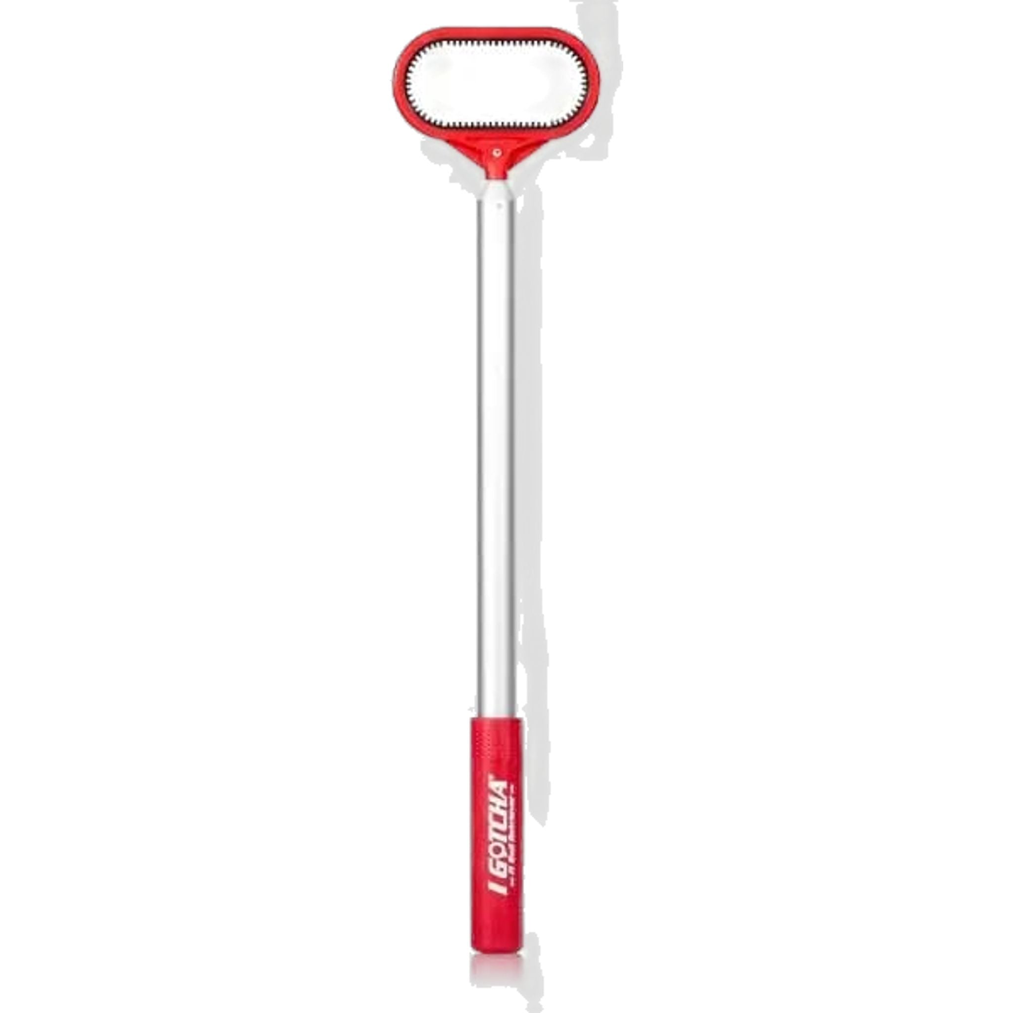 Ho preso la palla Retriever Jaws