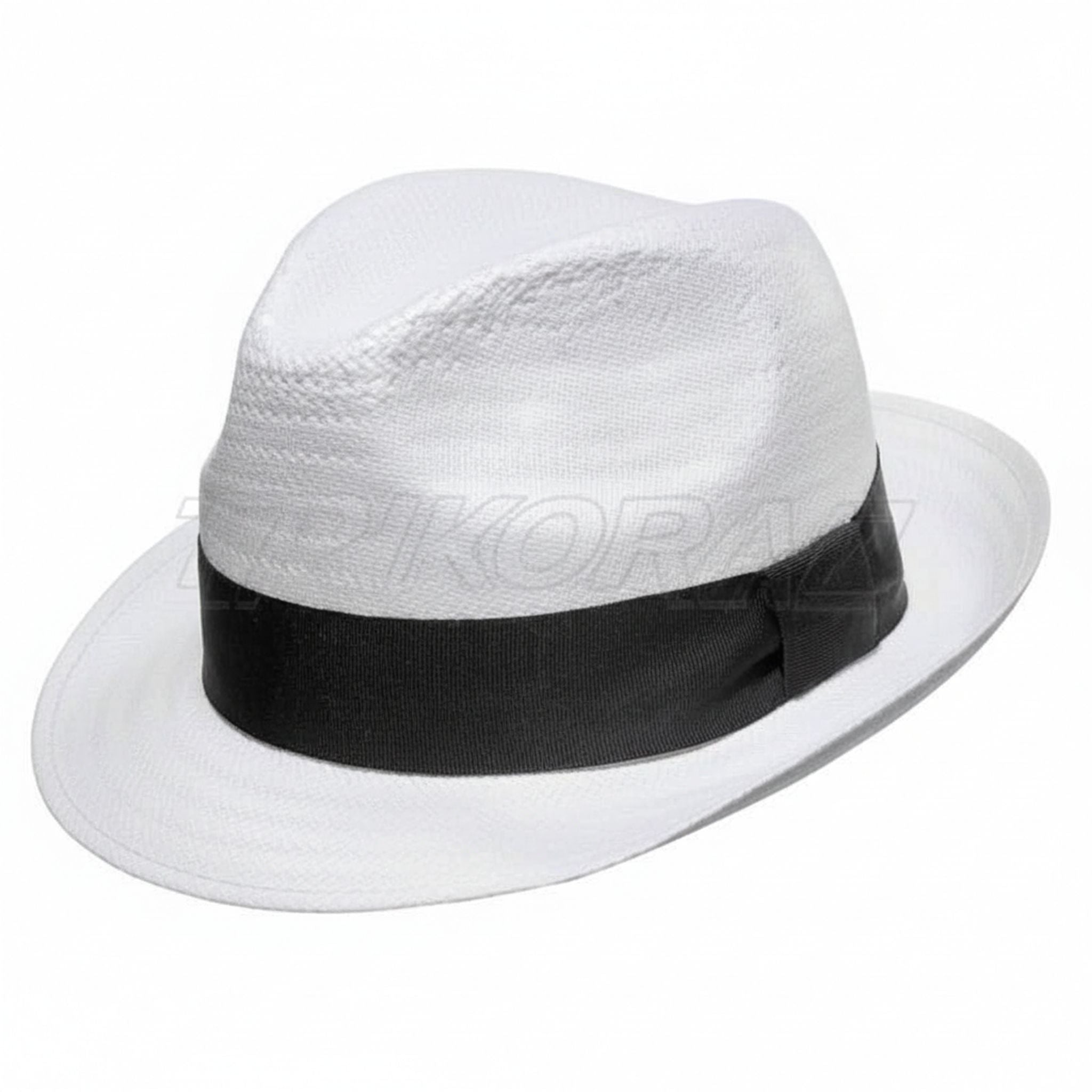 Cappello dell'agenzia Erwin Reithmeier - Carta bianca L