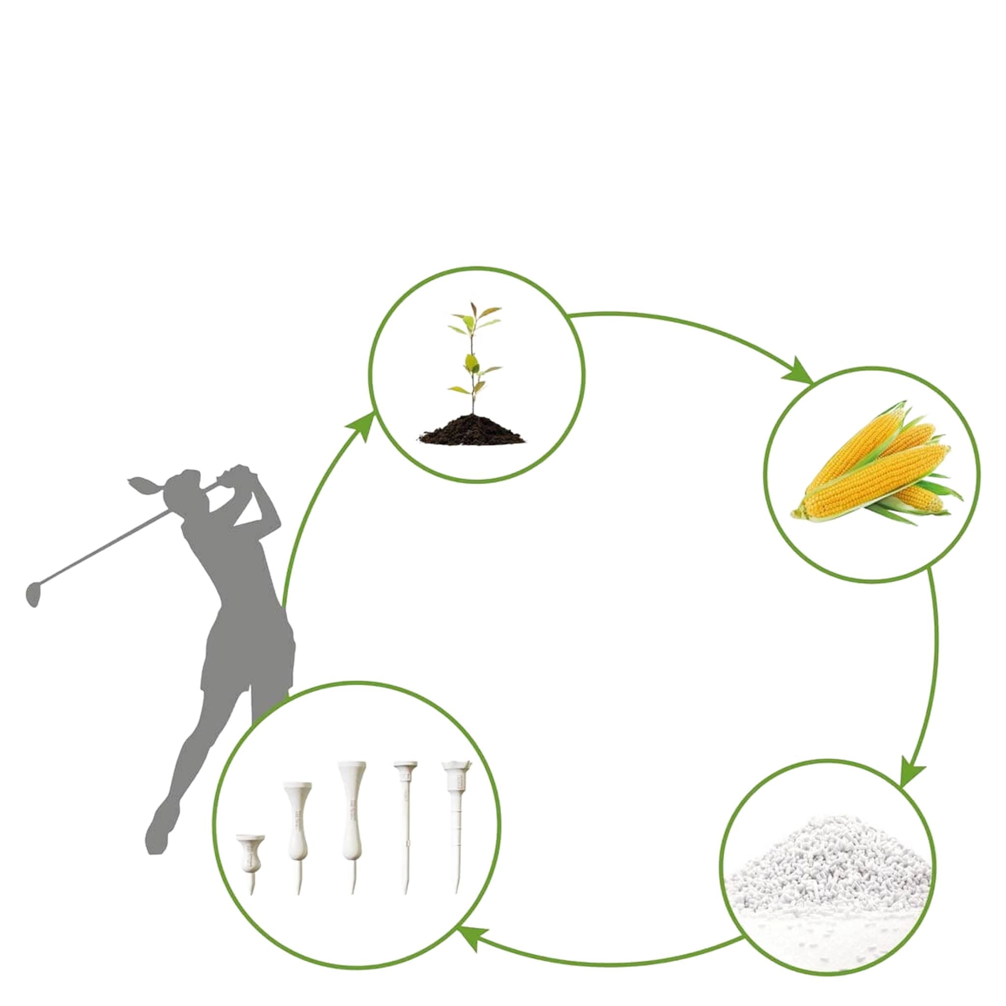 Lignum Eco 72mm Star [12Tees] Bianco