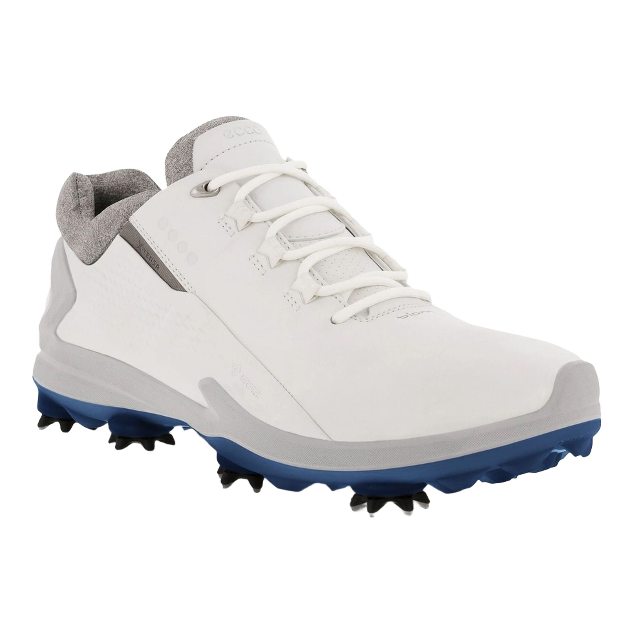 Scarpe da golf da uomo Ecco Biom G3