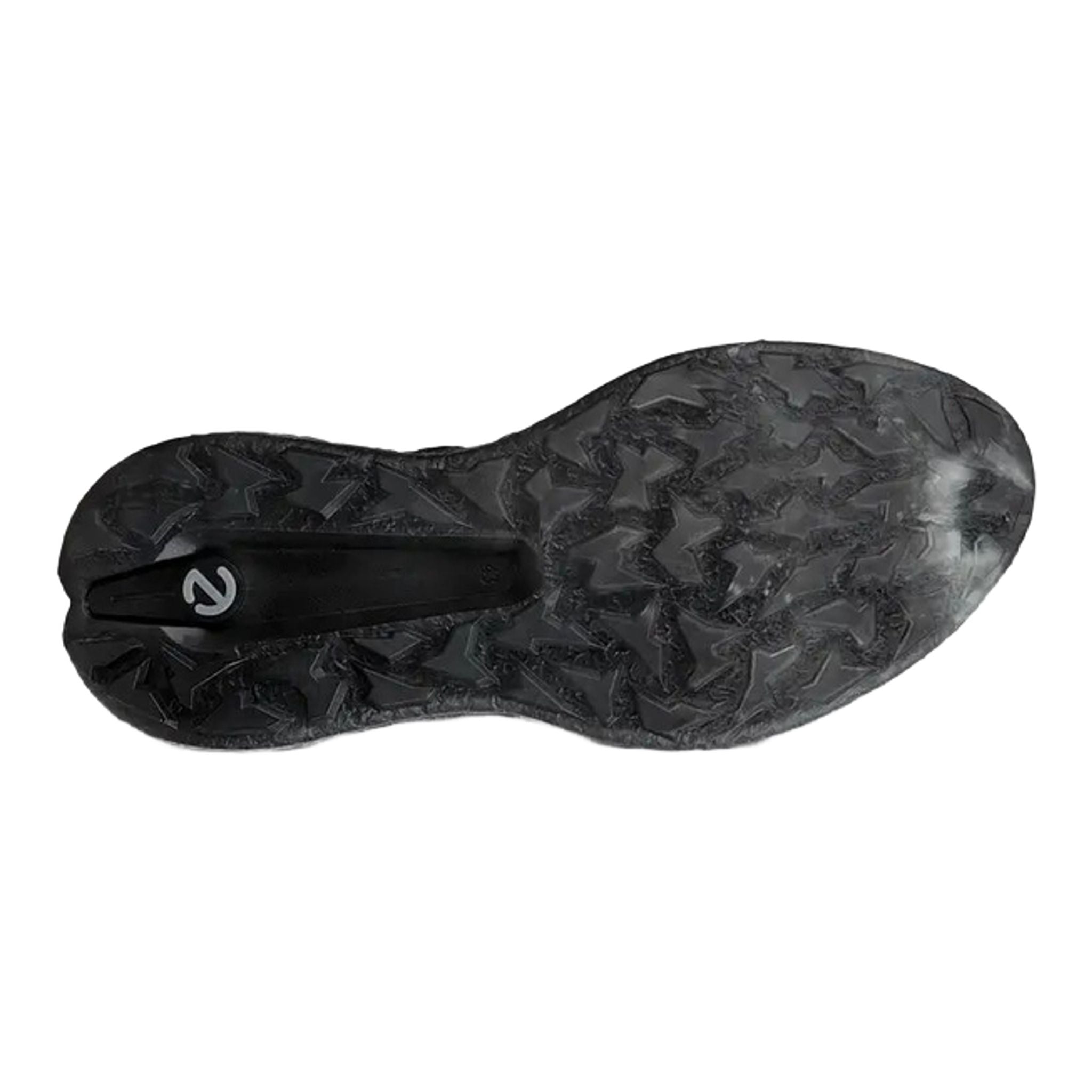 Scarpe da golf Ecco Biom H5 da uomo