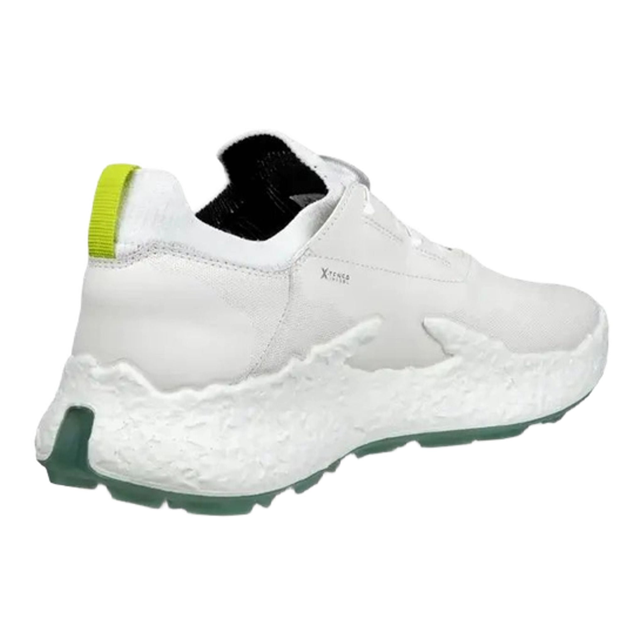 Scarpe da golf Ecco Biom H5 da uomo
