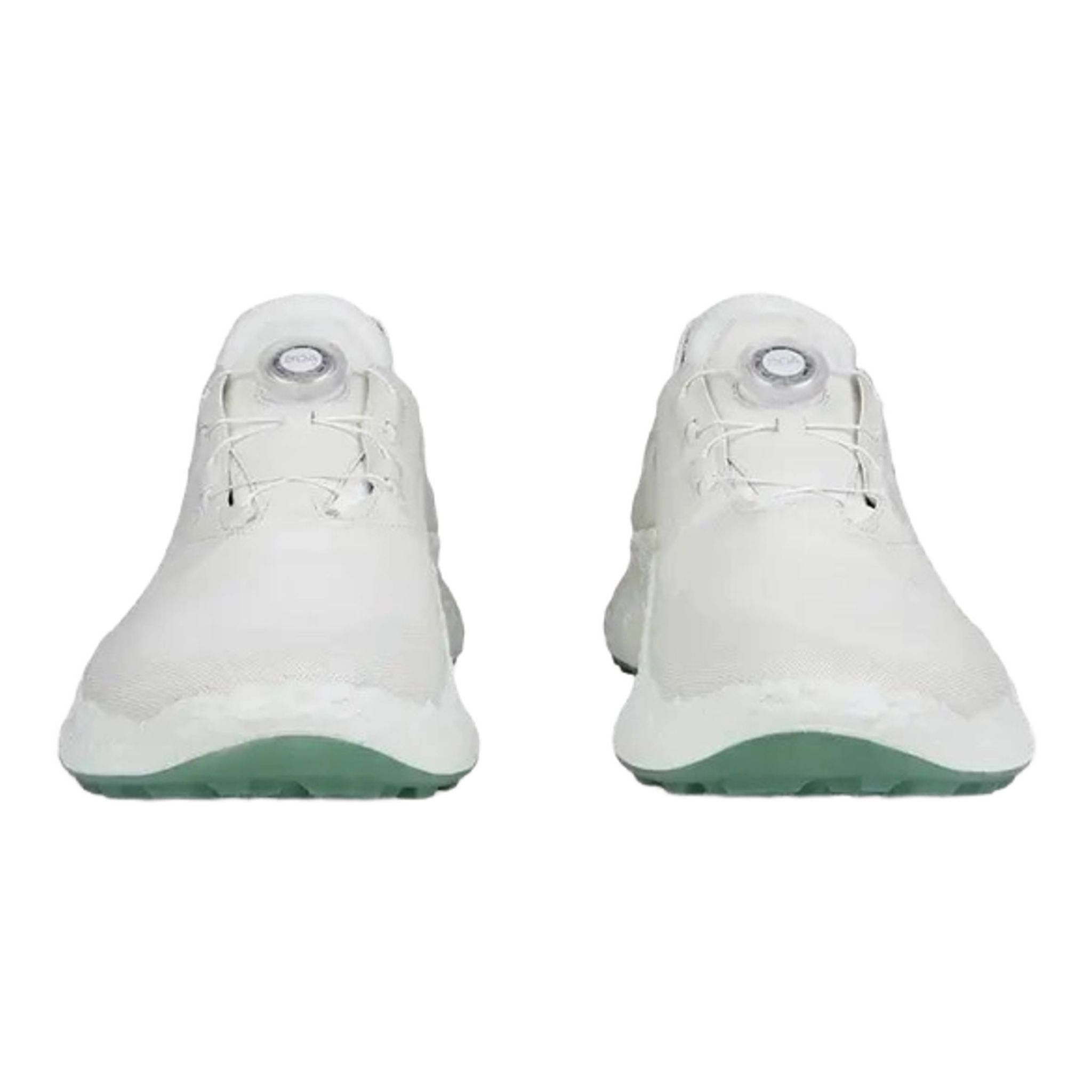 Scarpe da golf Ecco Biom H5 da uomo