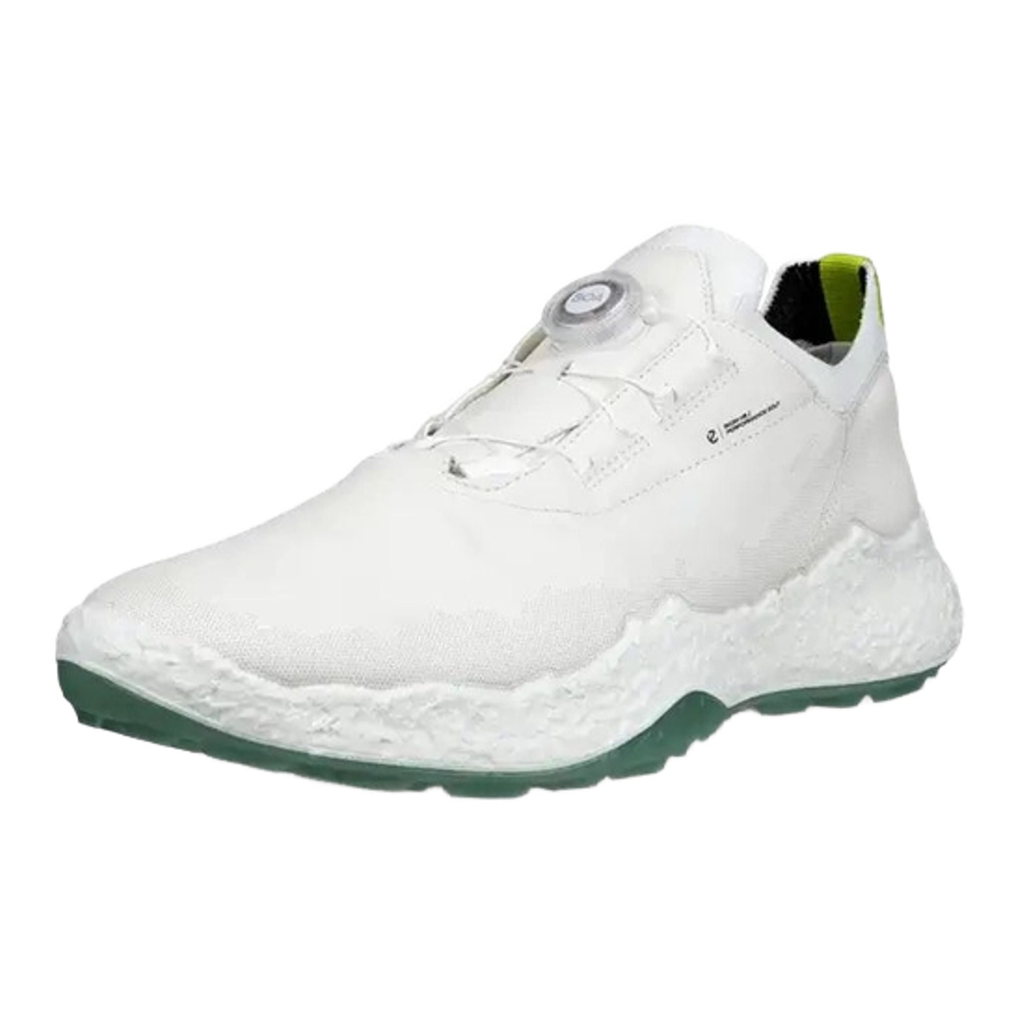 Scarpe da golf Ecco Biom H5 da uomo