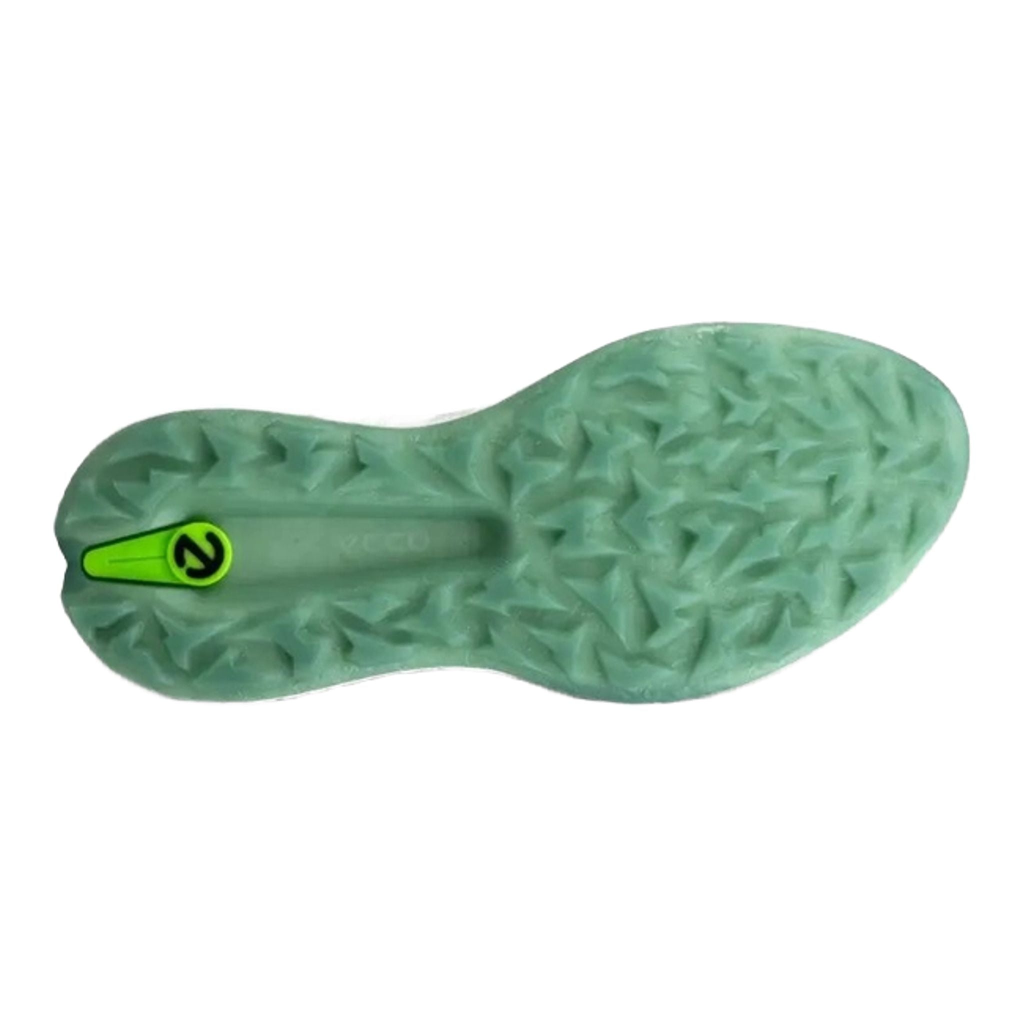 Scarpe da golf Ecco Biom H5 da uomo