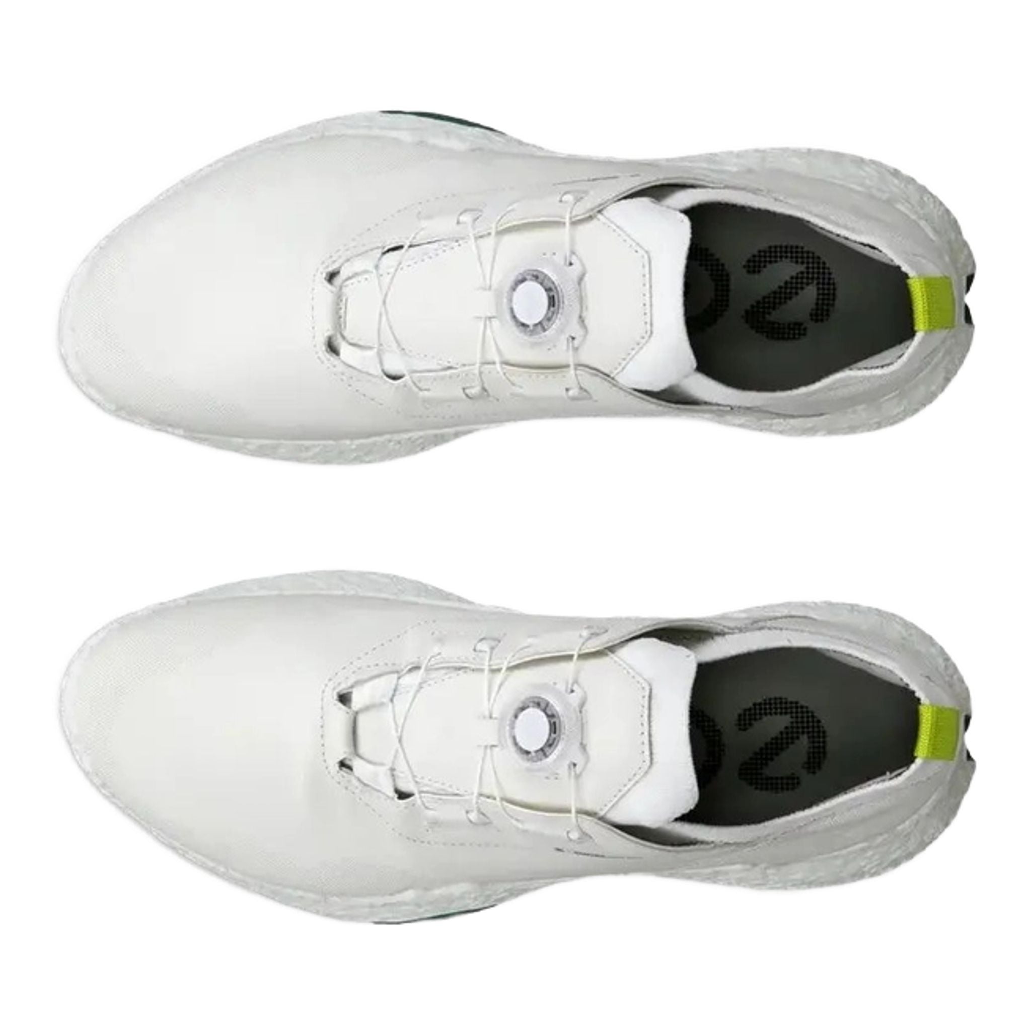 Scarpe da golf Ecco Biom H5 da uomo