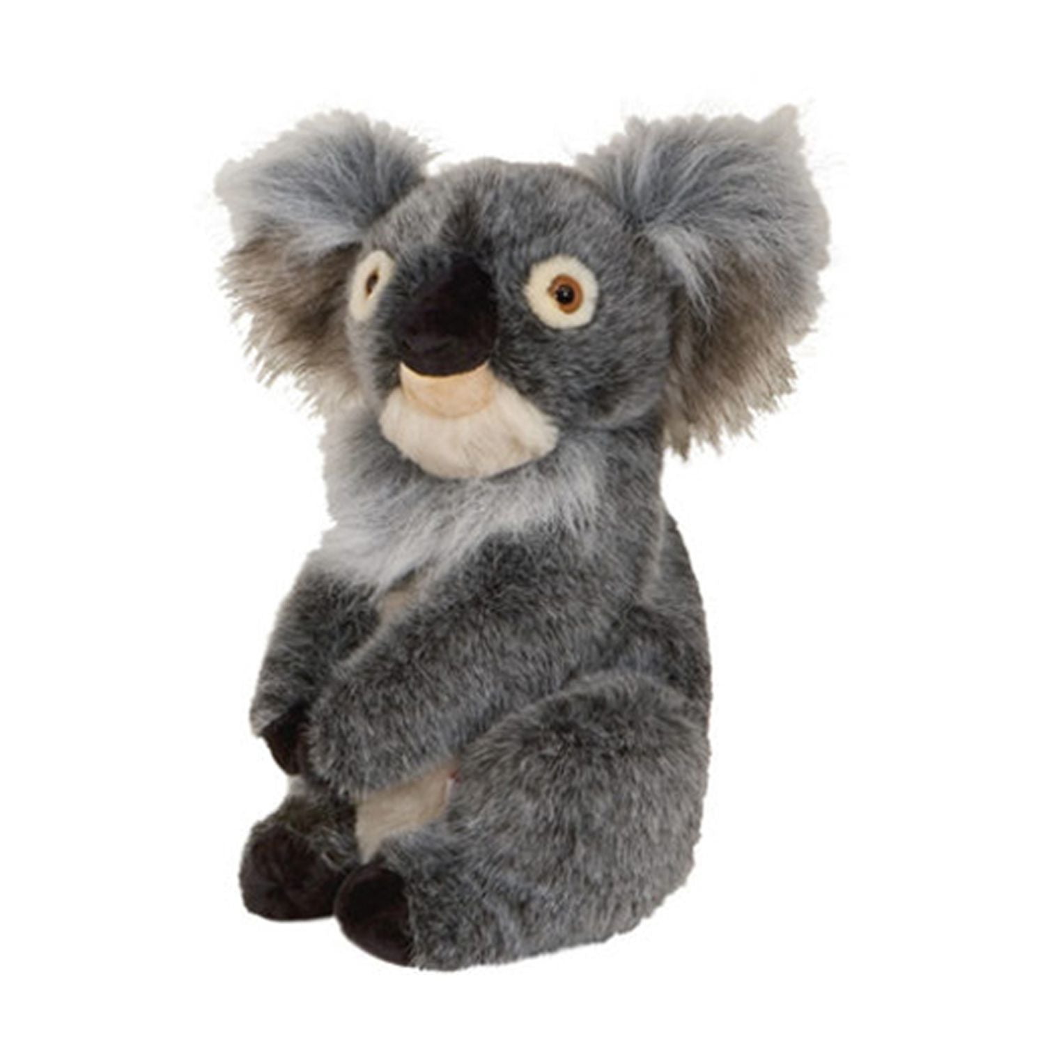 Copritesta Daphne Driver Koala
