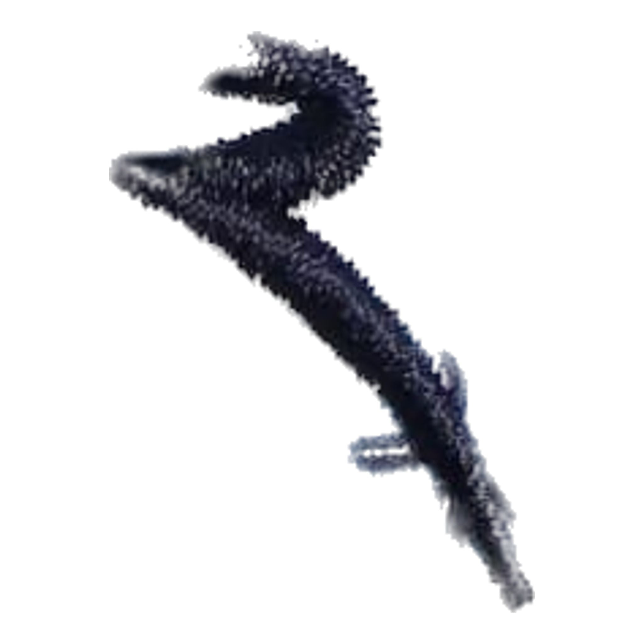 Polo Chervo Addisabeba da donna