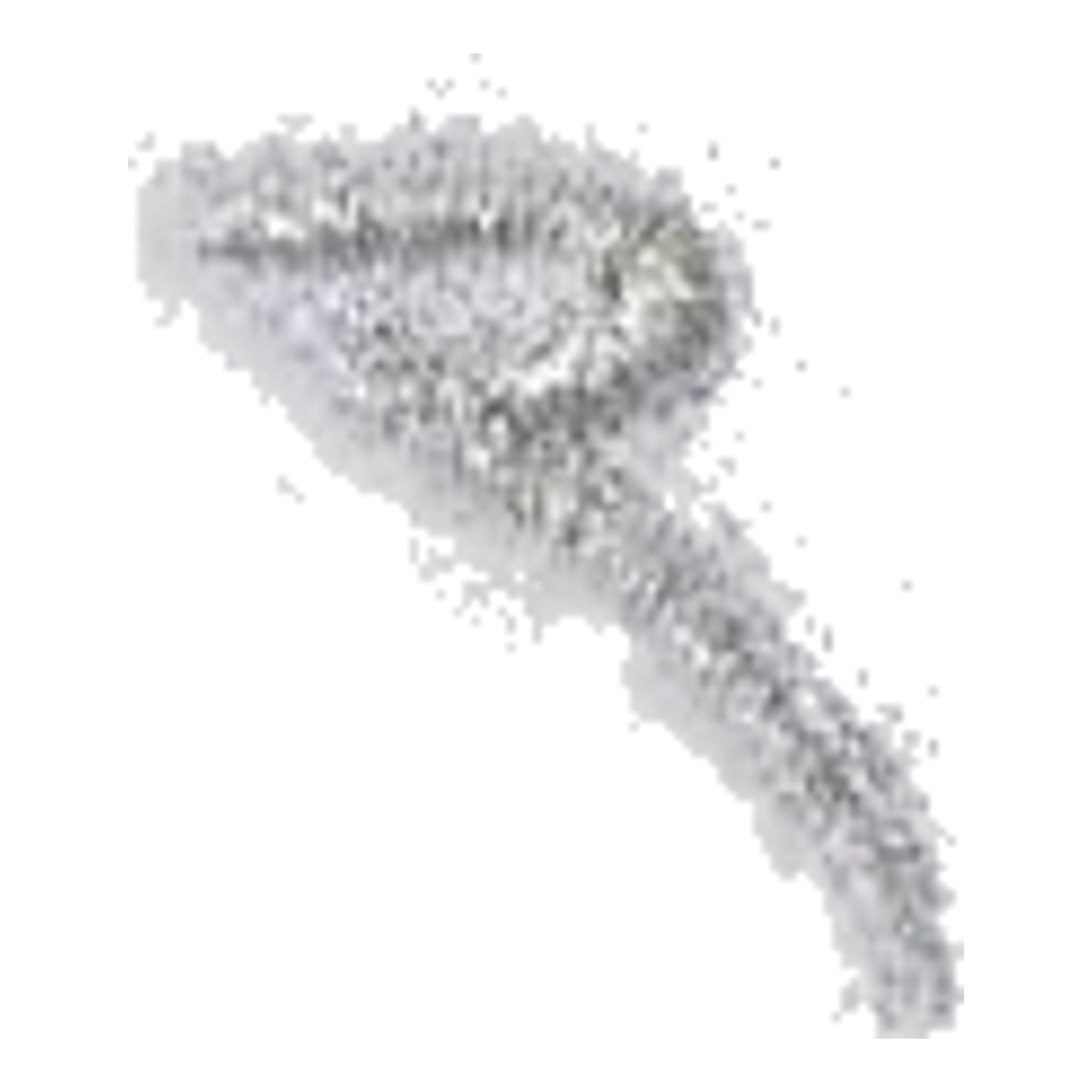 Chervo Arenata Polo da donna